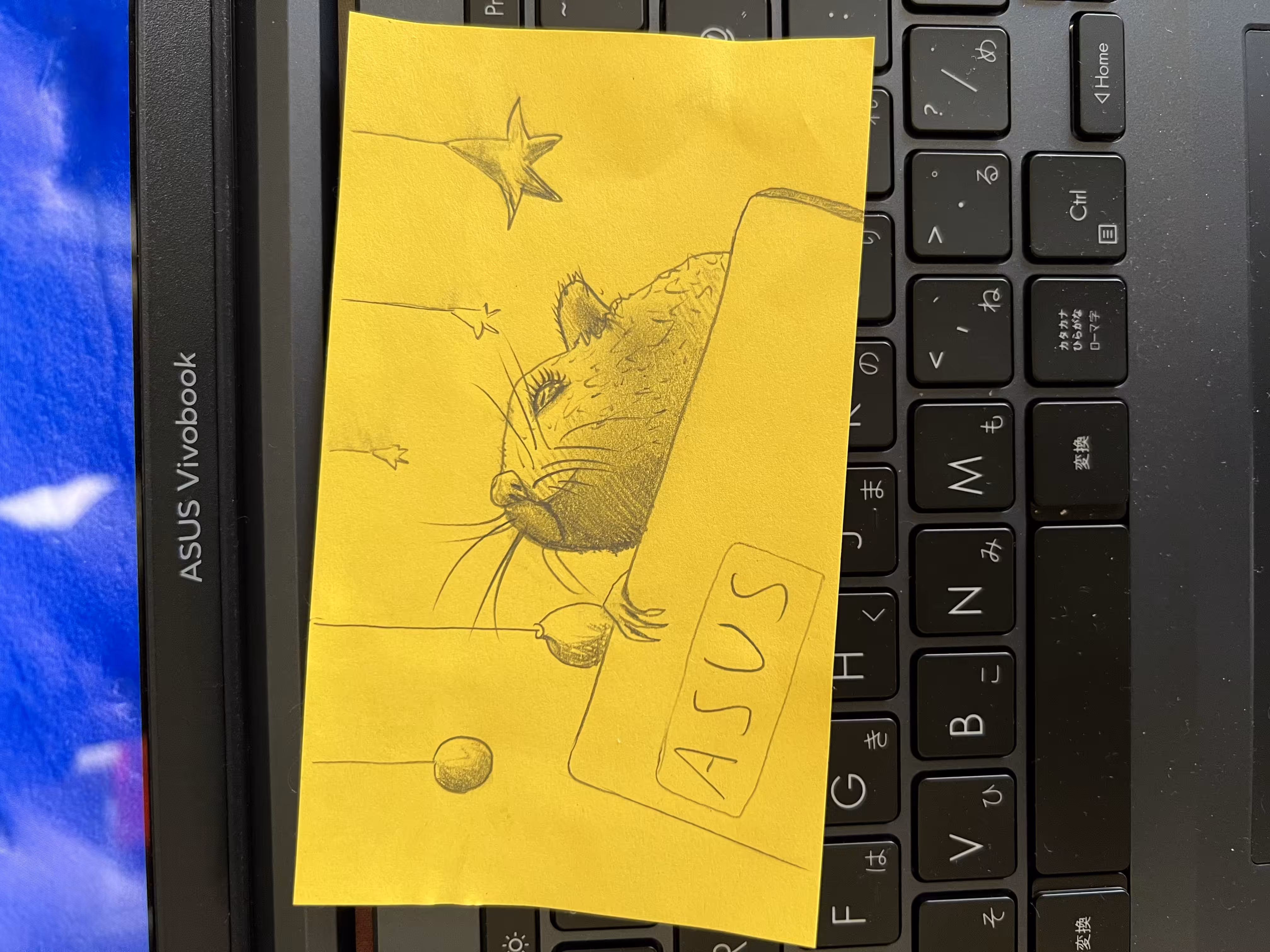GreedyRat_laptop 