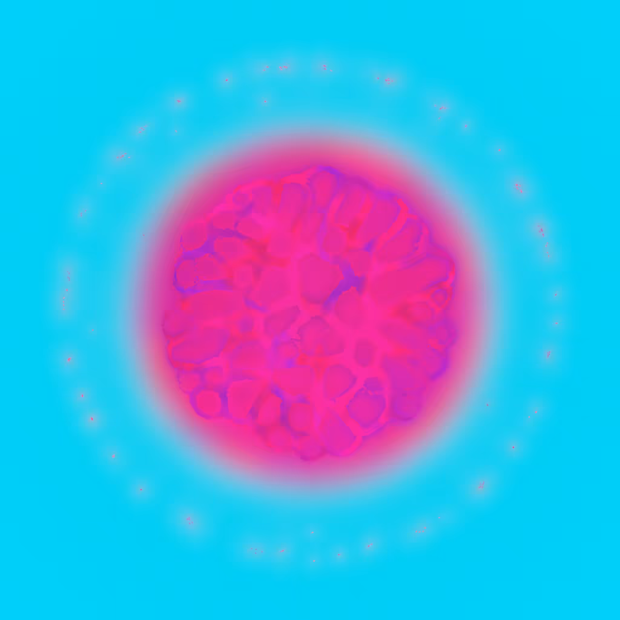 Agnoscopic #27