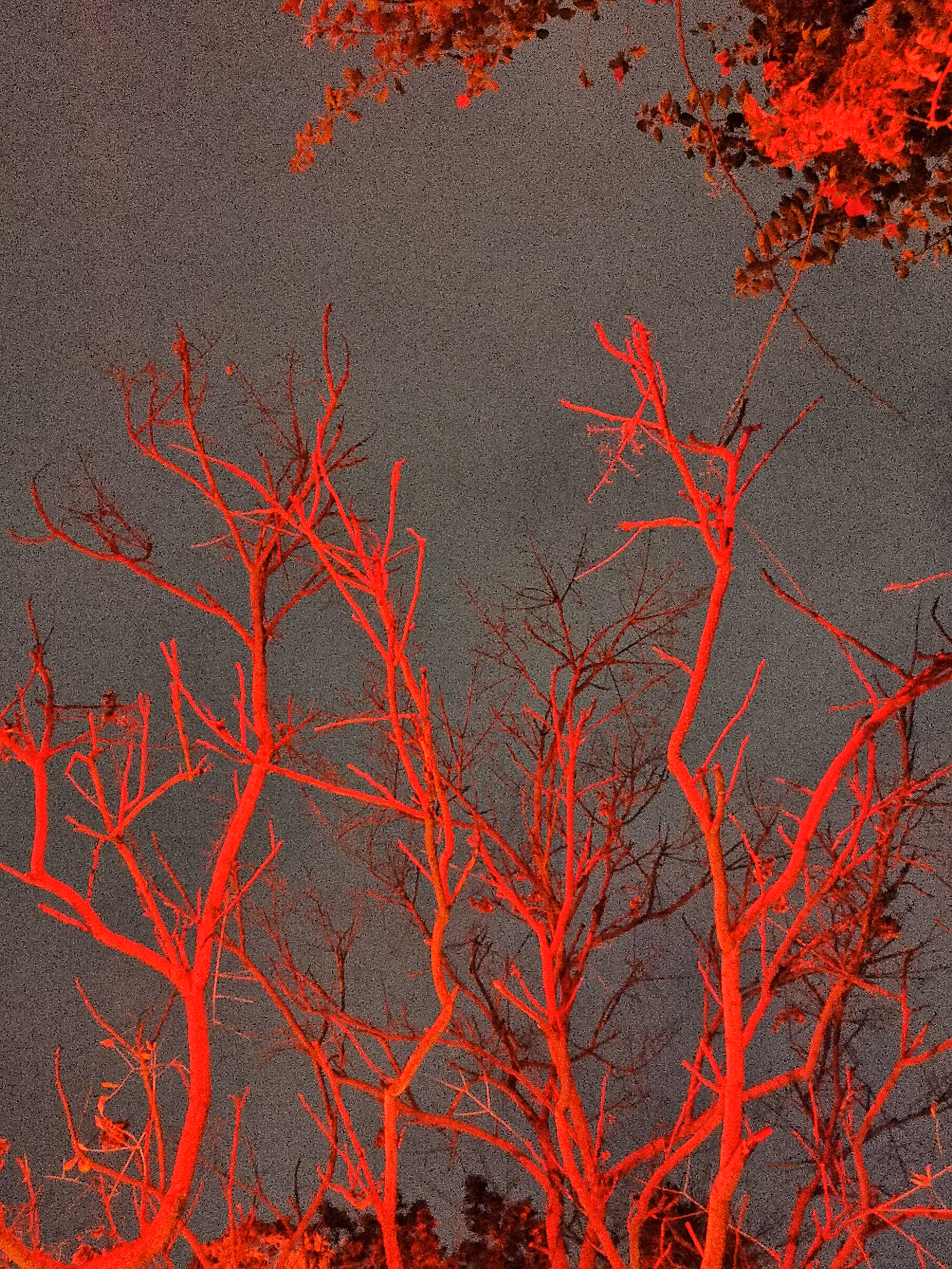 Meteoro