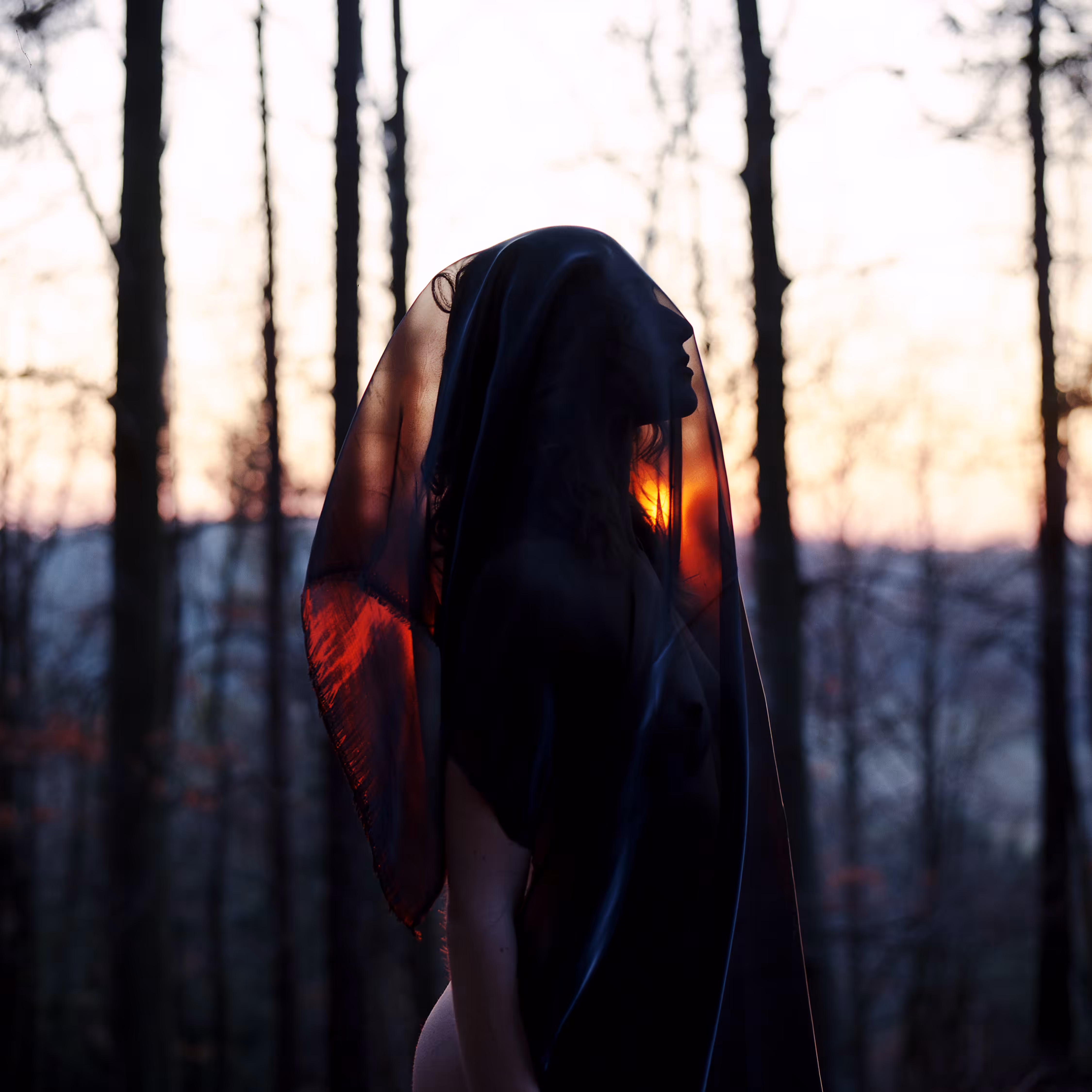 Veil of the sunlight