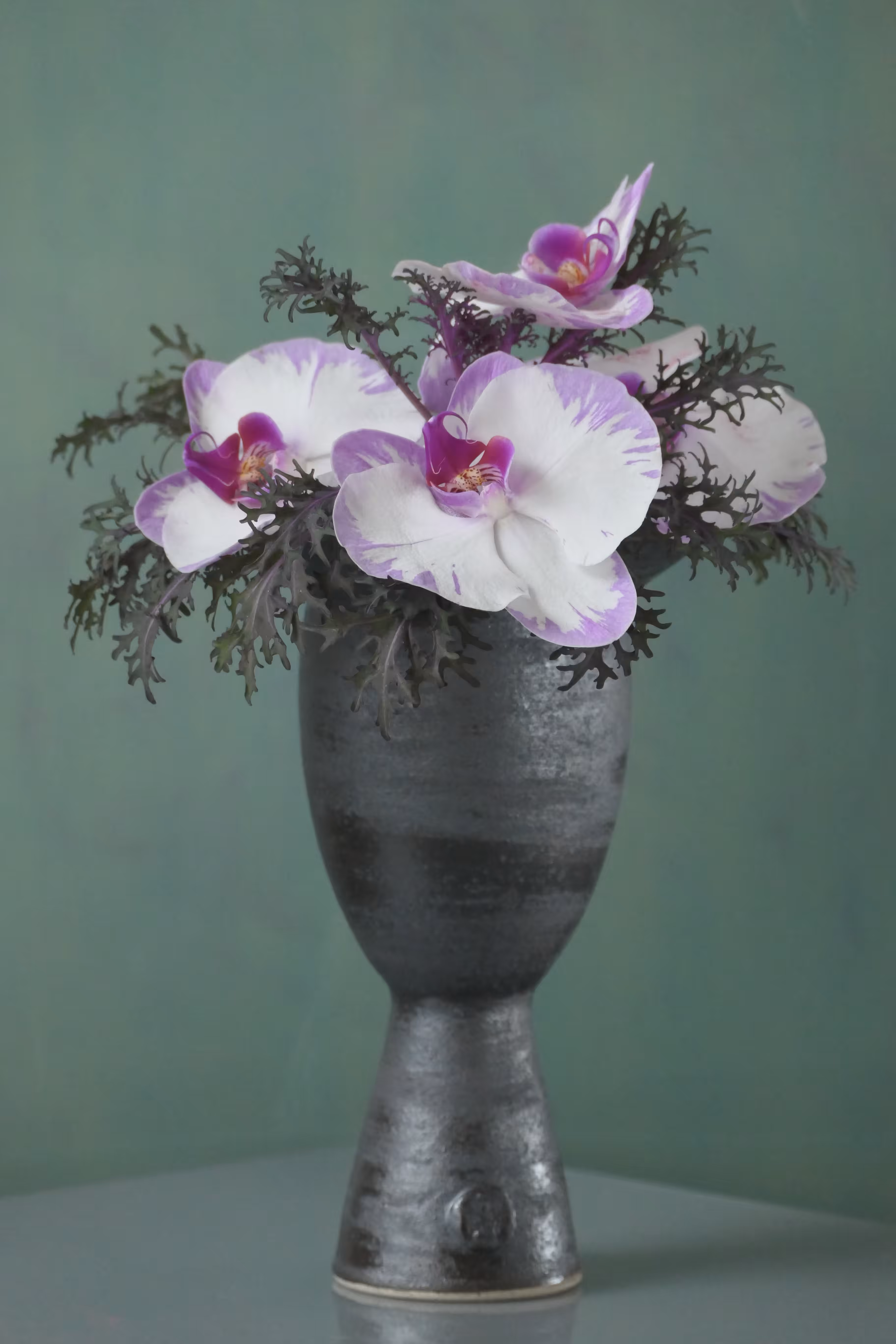 Still Life (Special edition)