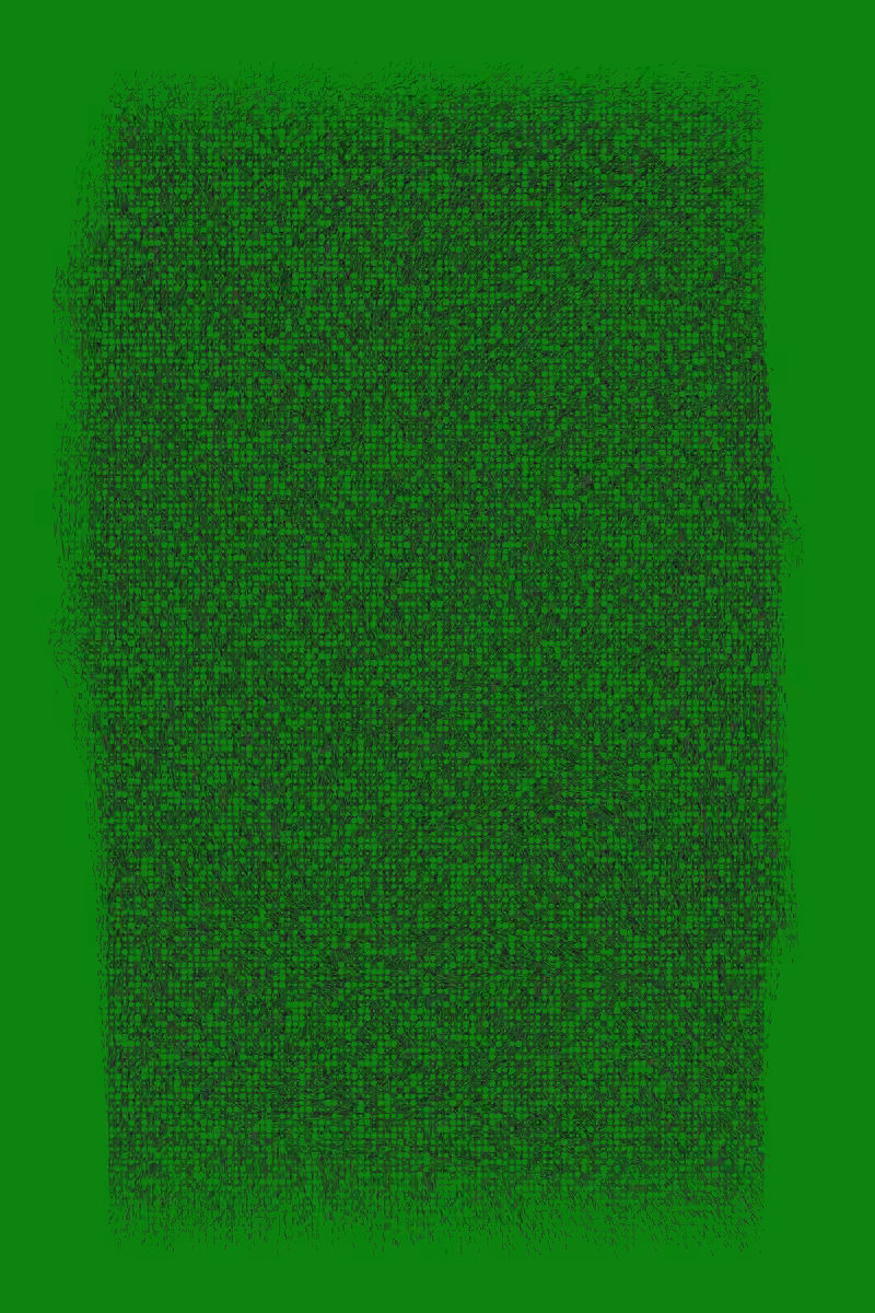 Grass #37