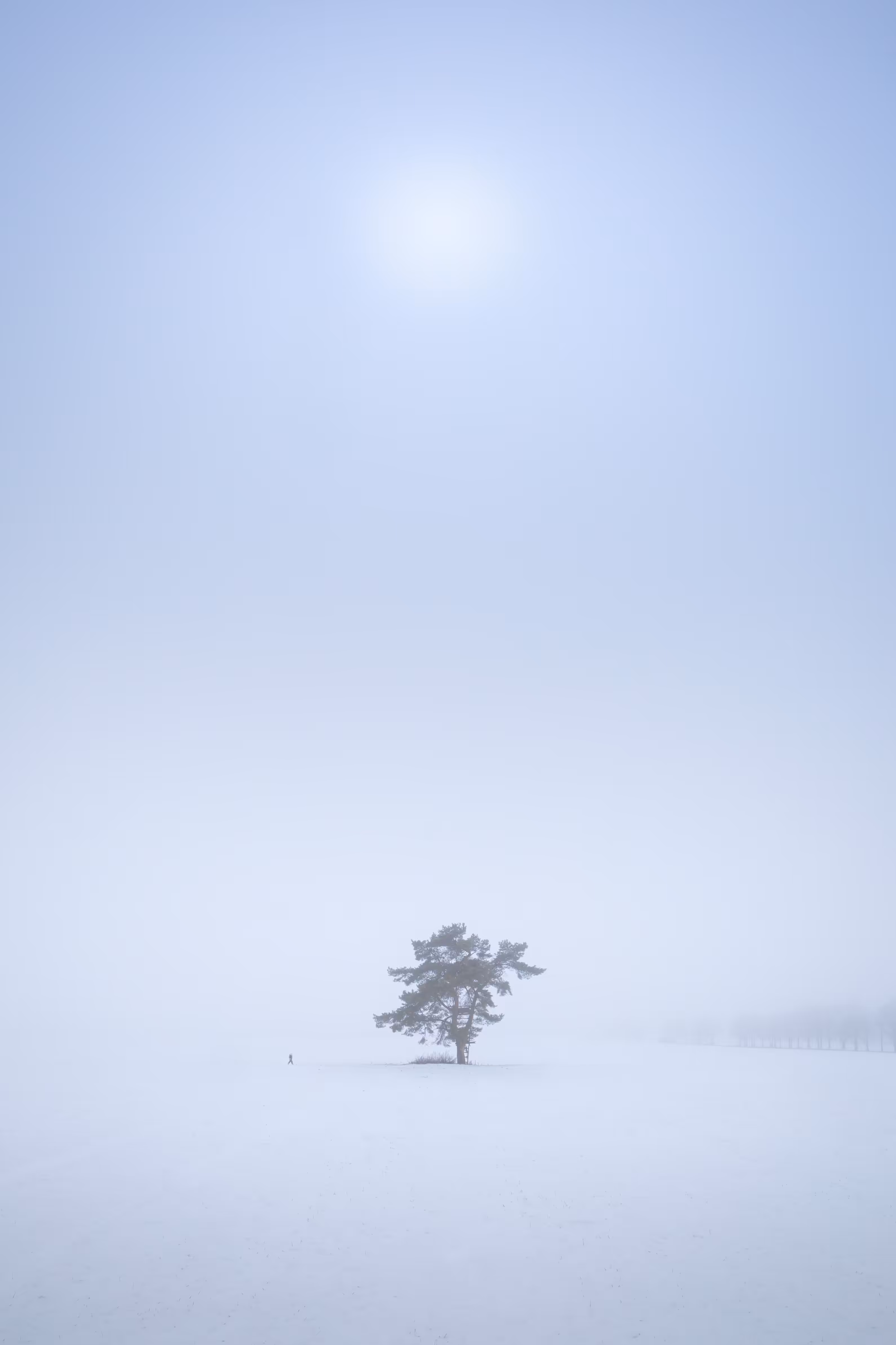 To Feel Loneliness #1