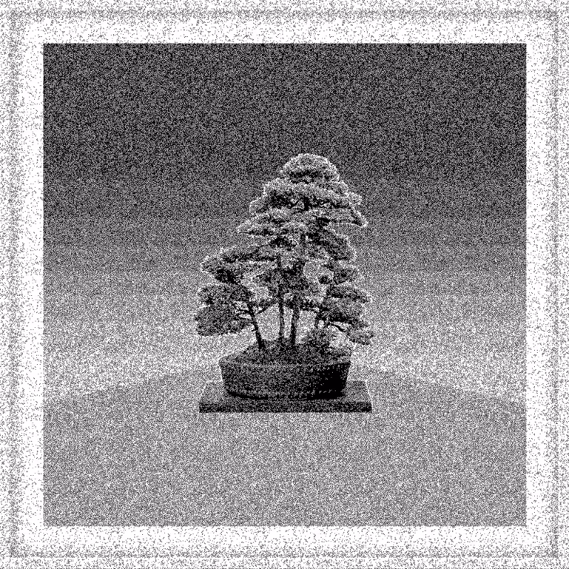 Bonsai Bonanza #139