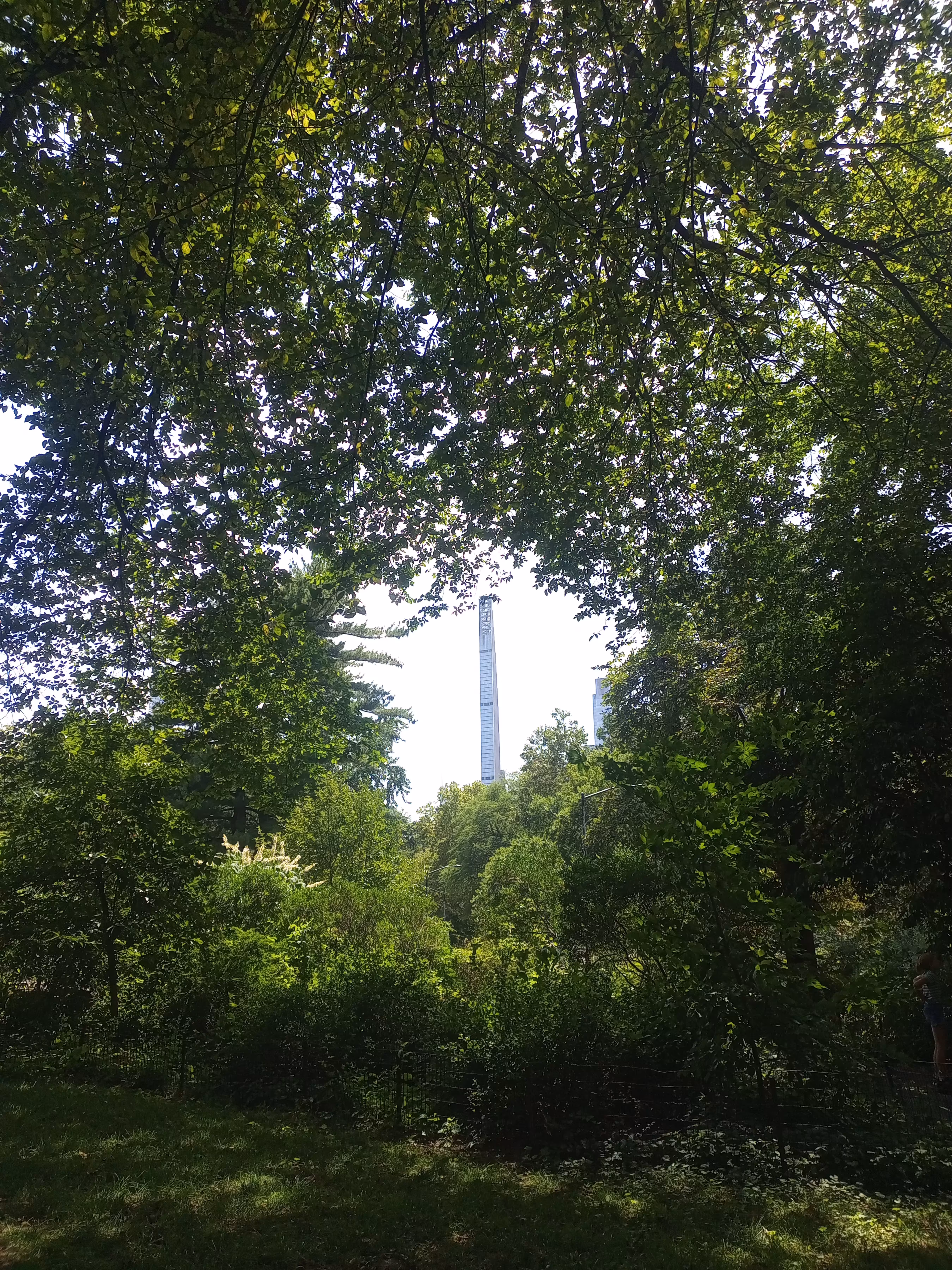 the lonesome of sky riders shot from Central Park 🏙️