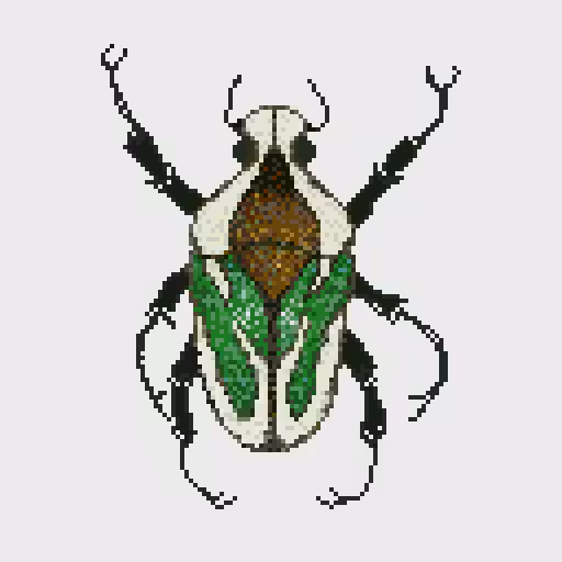 Beetle 1