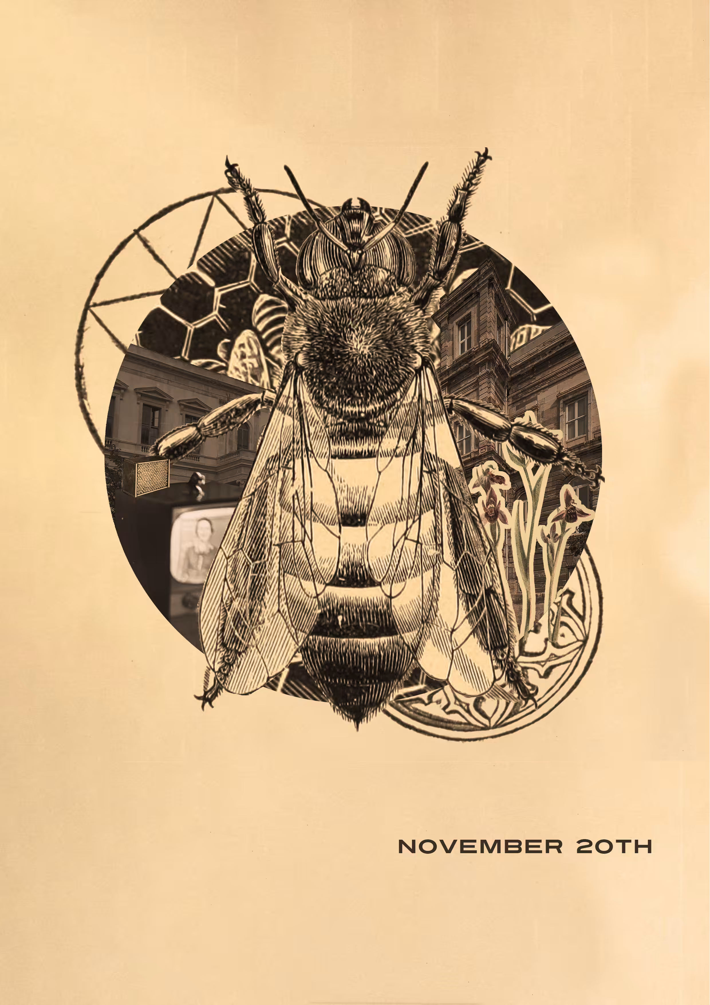November 20th
