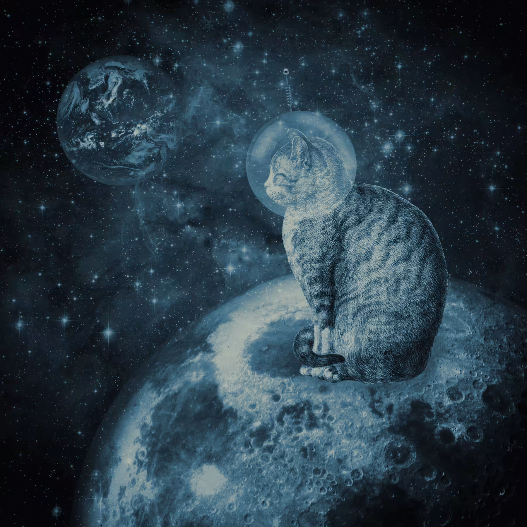 Lunar Loner