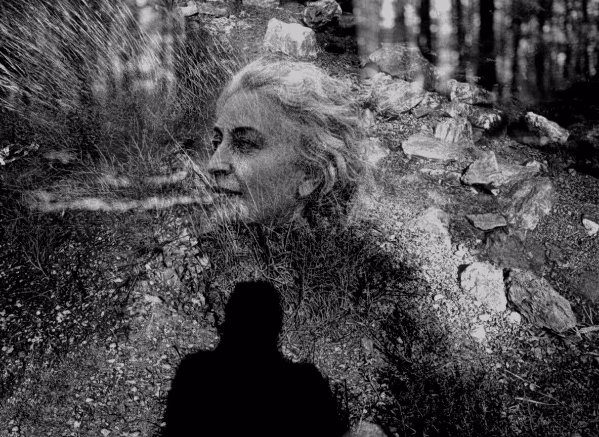 Solstice of Flesh
