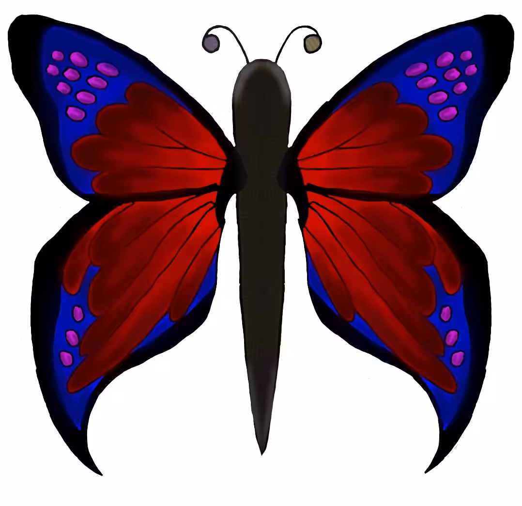 Butterfly Wings