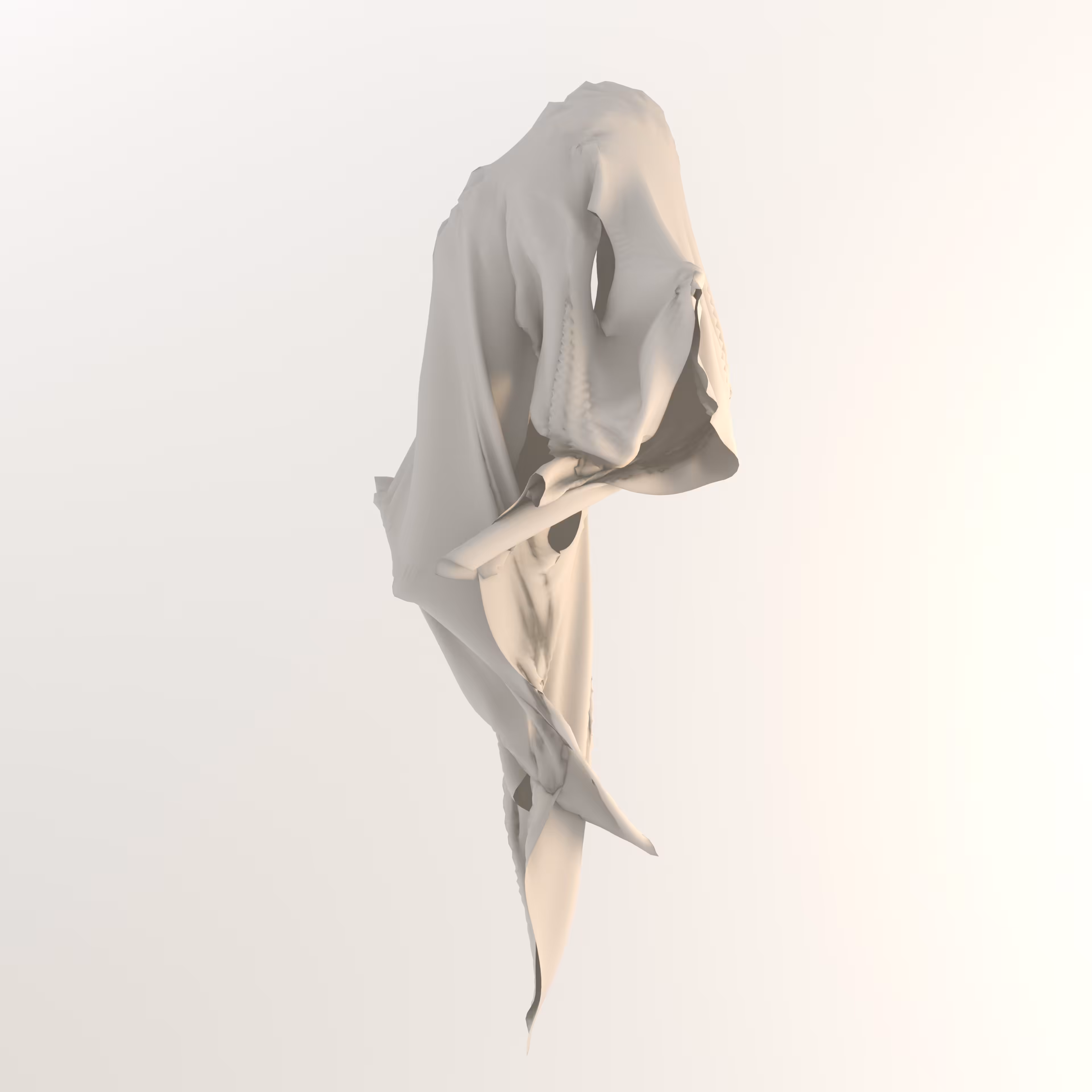 Concealment