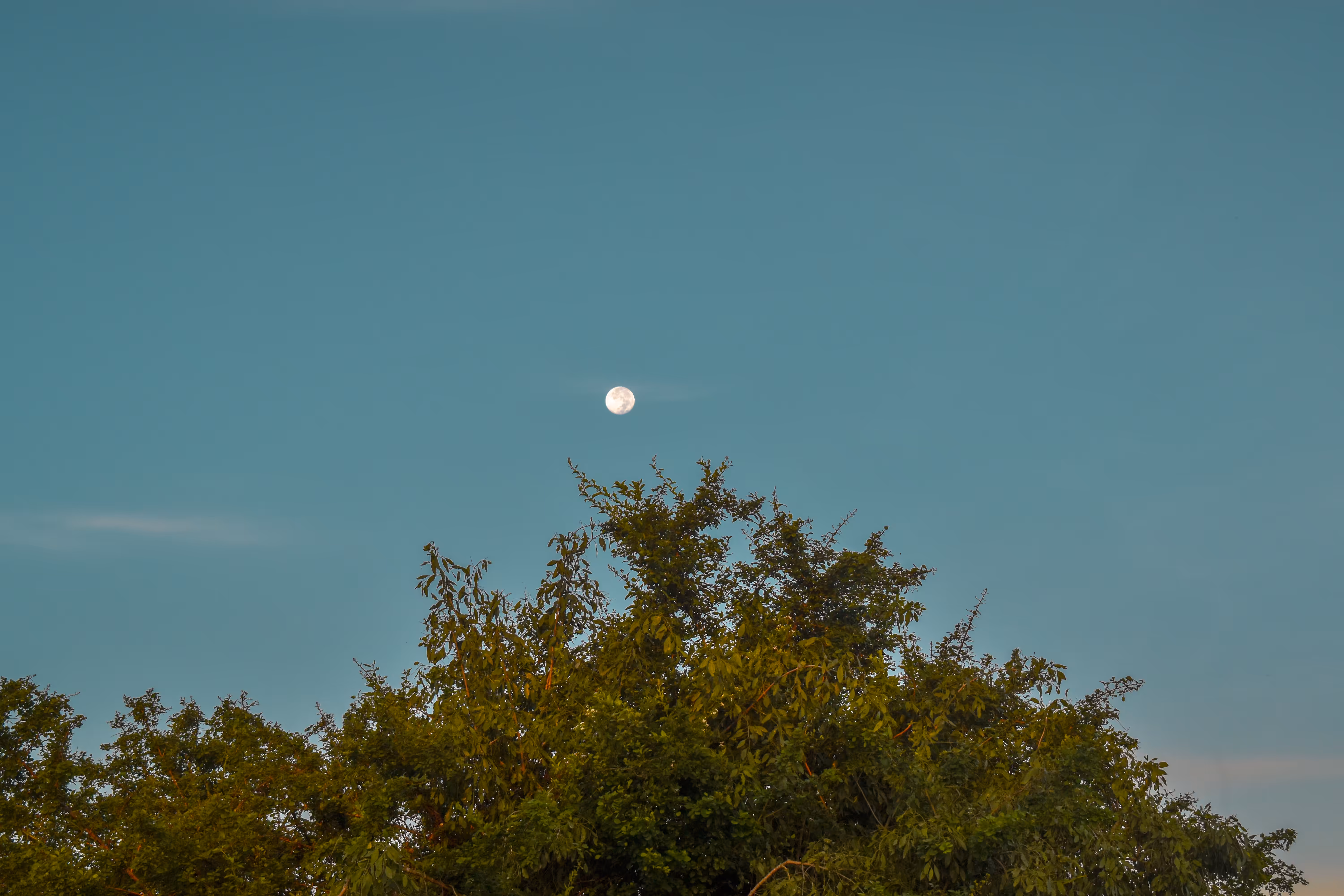 Moon Child