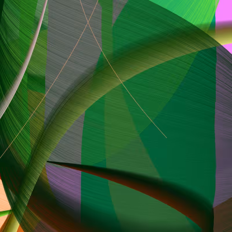 Expansion #6