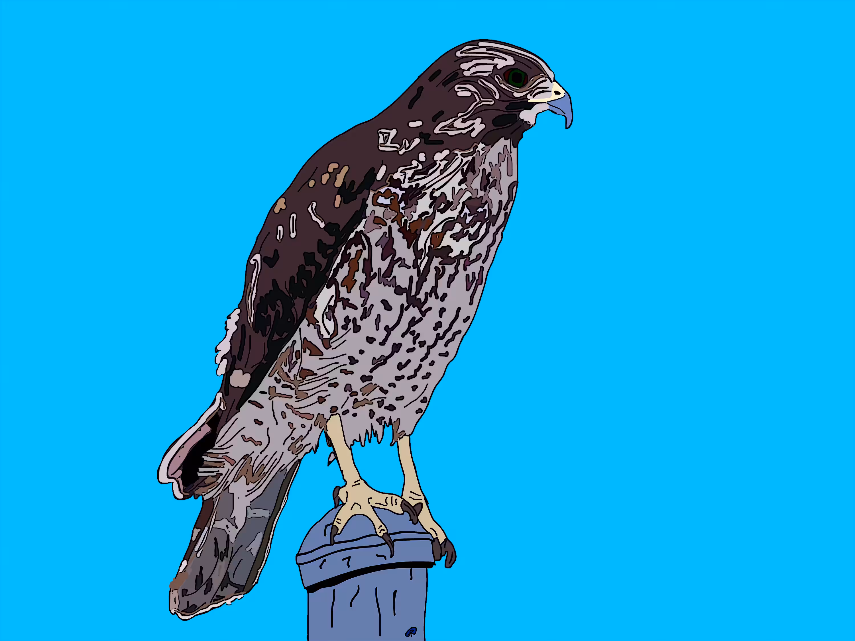Hawk (eyes of the sky)