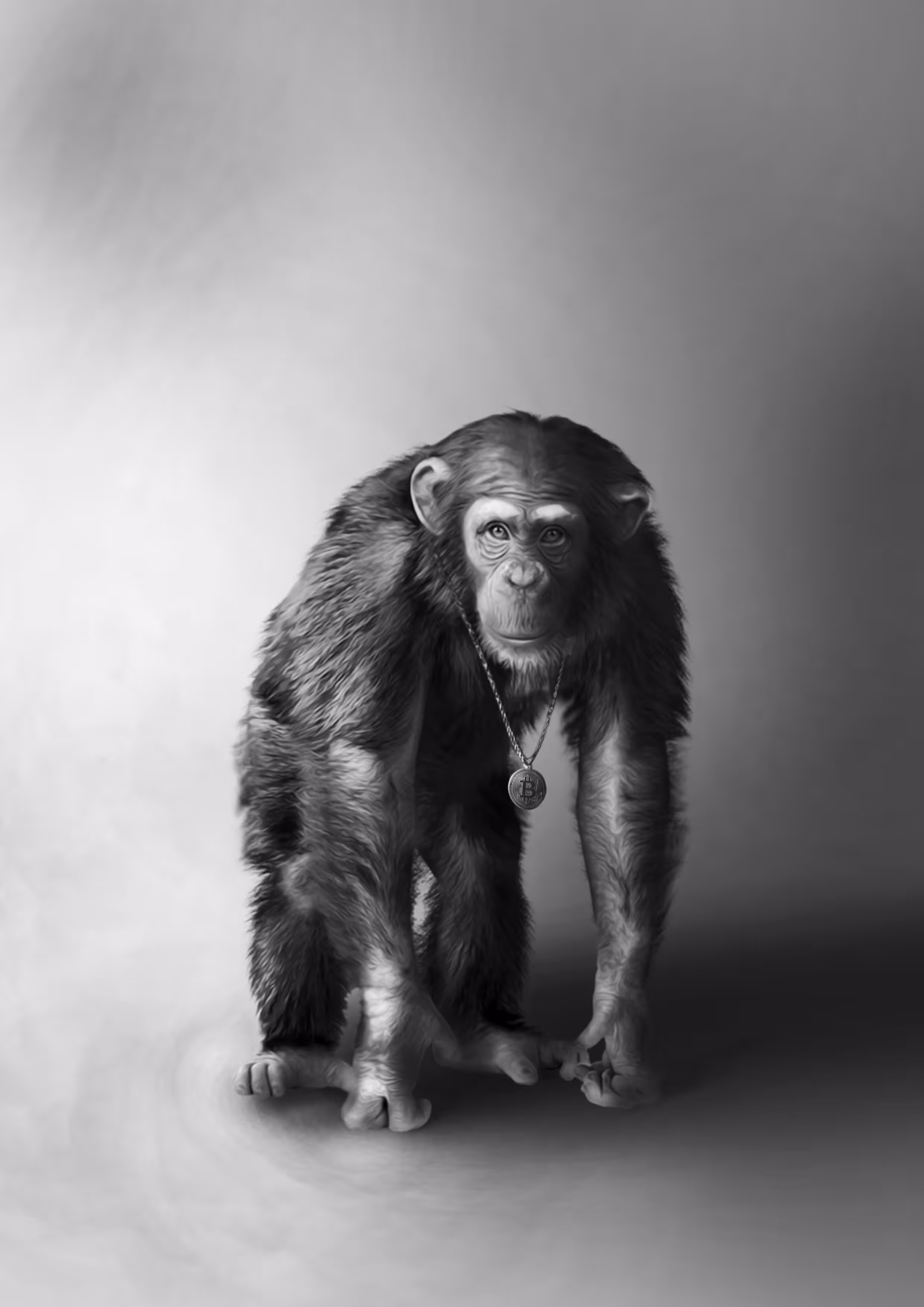 Bitcoin Ape
