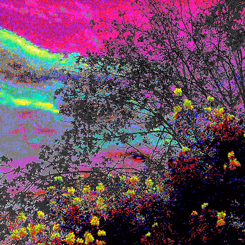 Garden of the republic ✿ #12