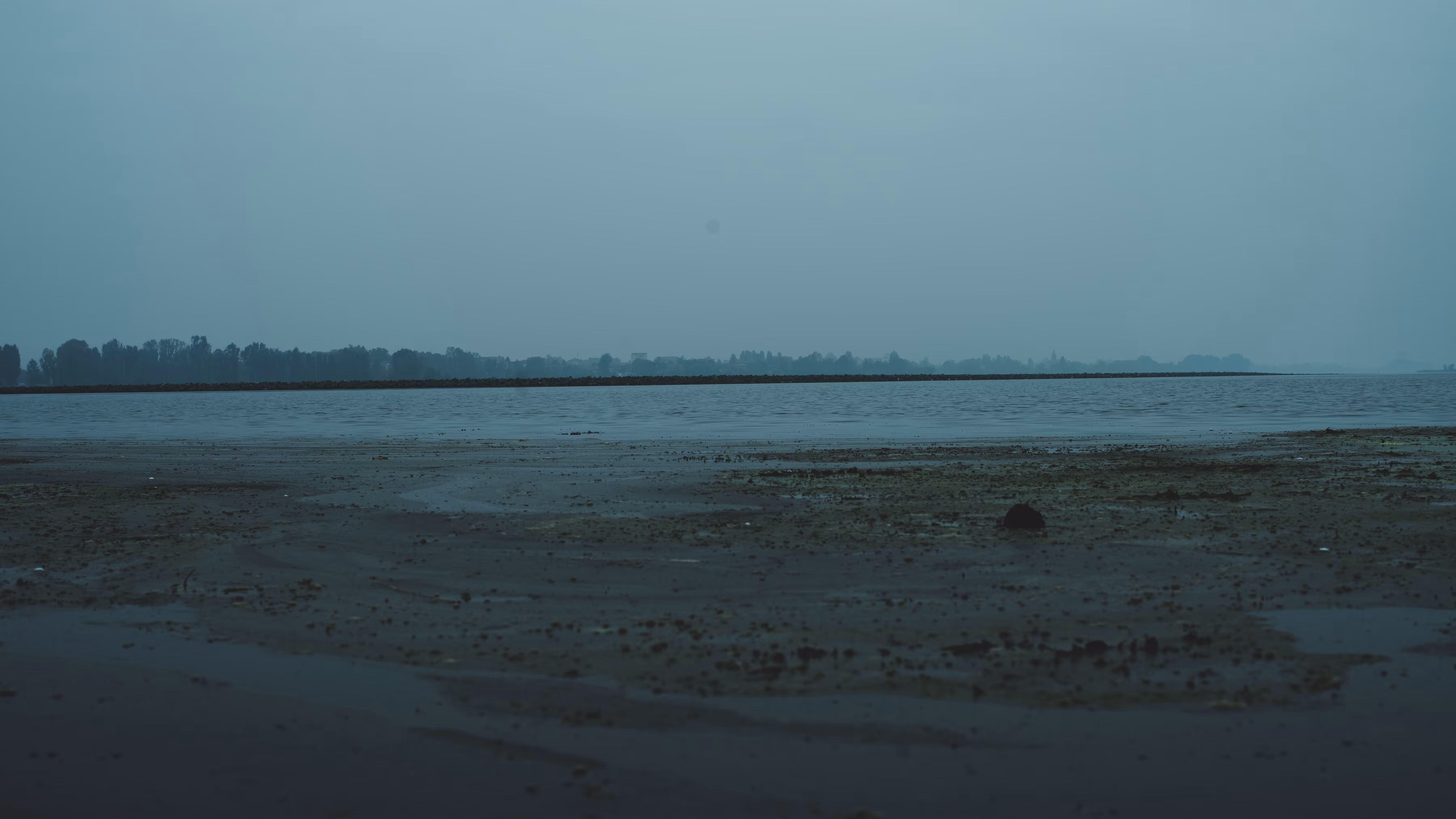 Loneliness