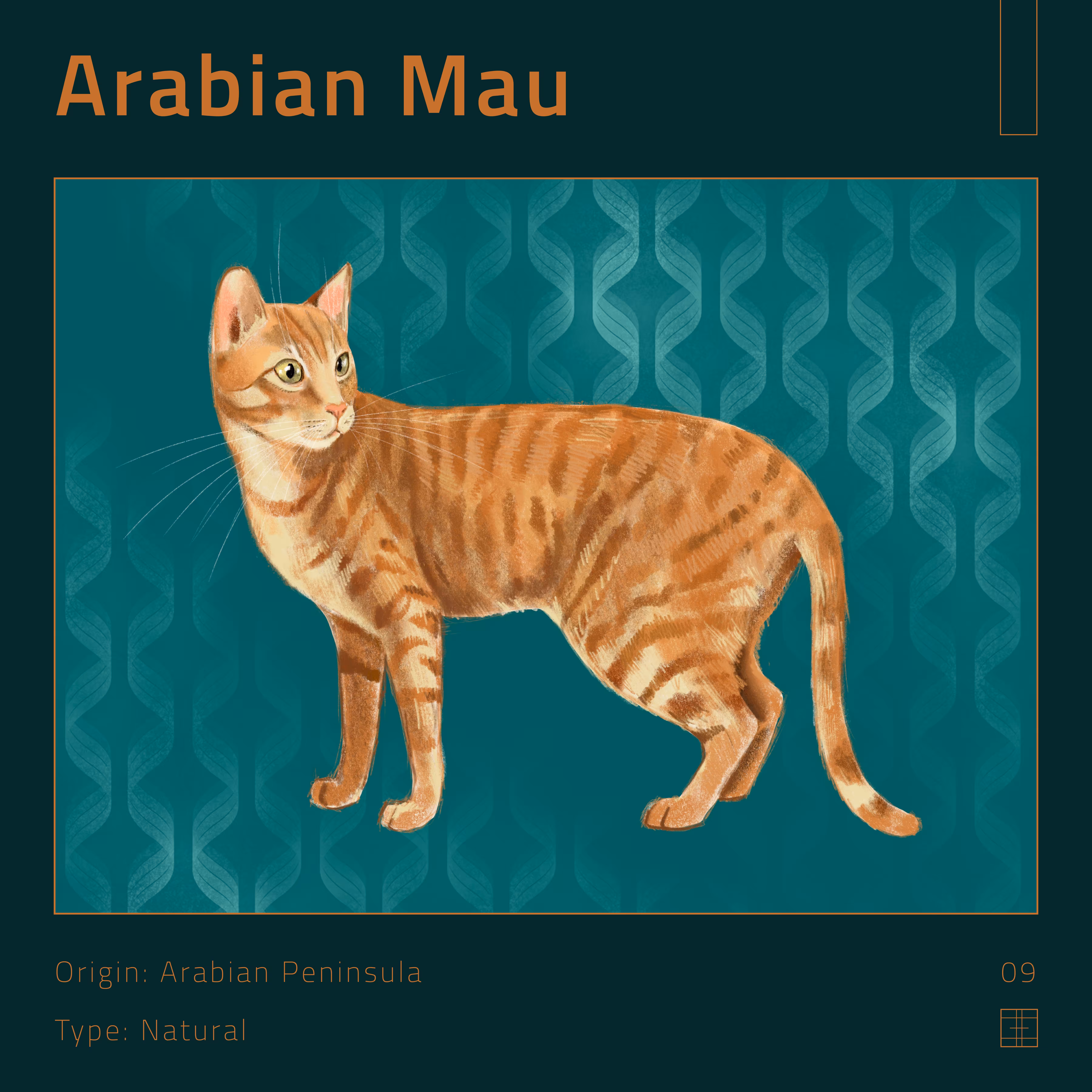 09 – Arabian Mau cat