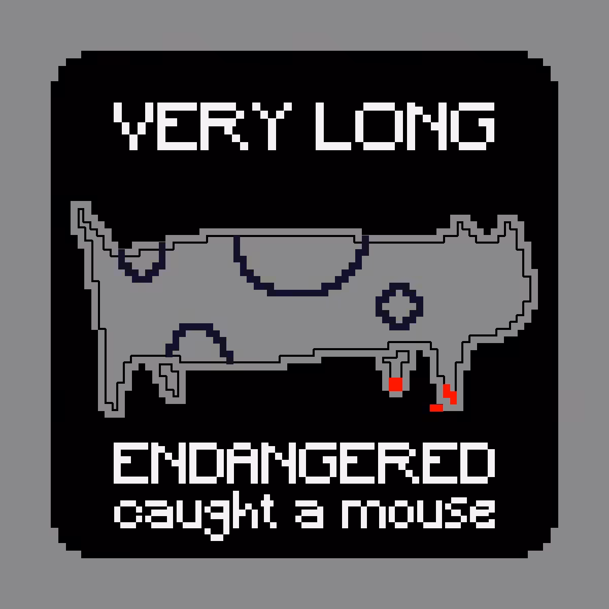 VERY LONG ENDANGERED CAT #12