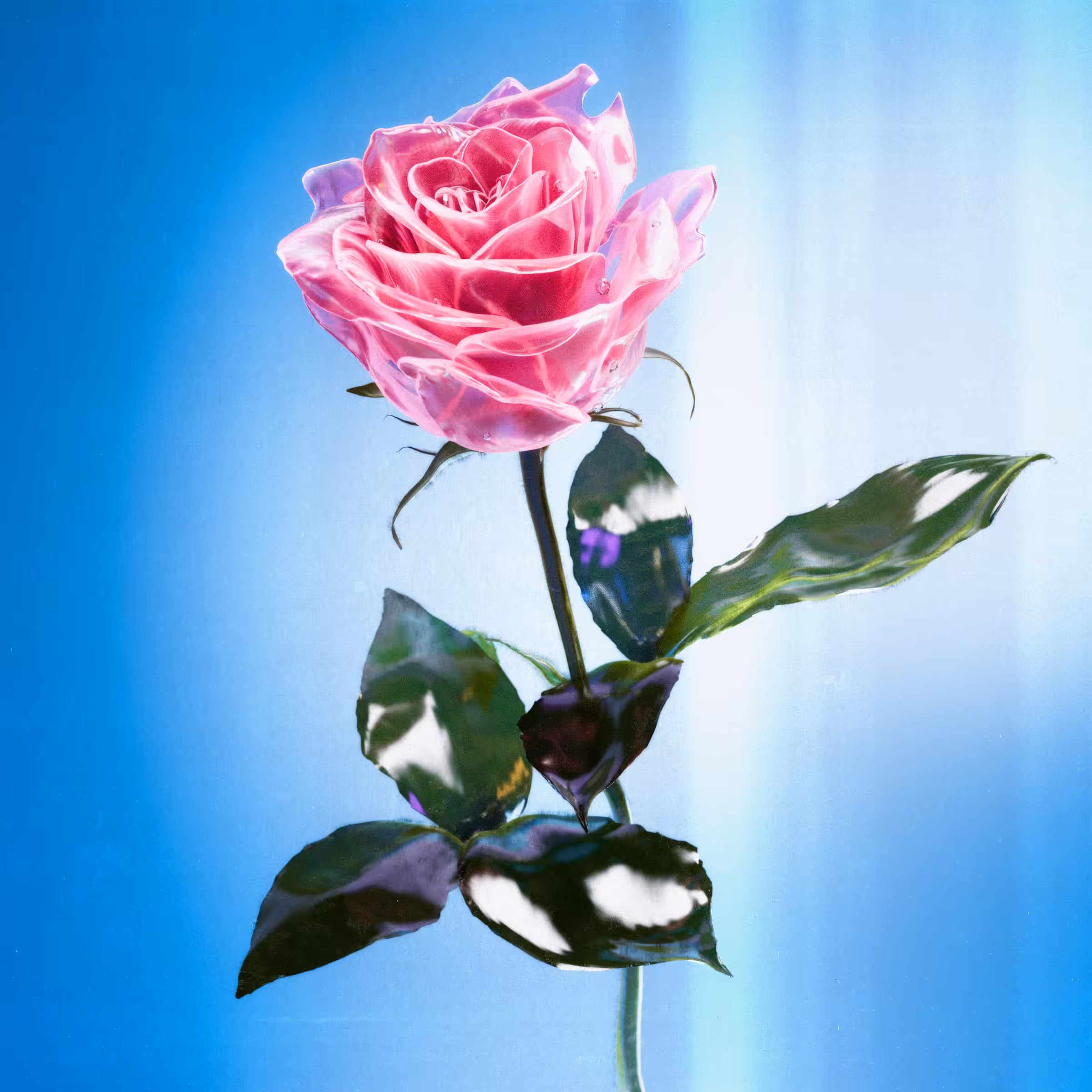 Flower #48 by Olivia Pedigo