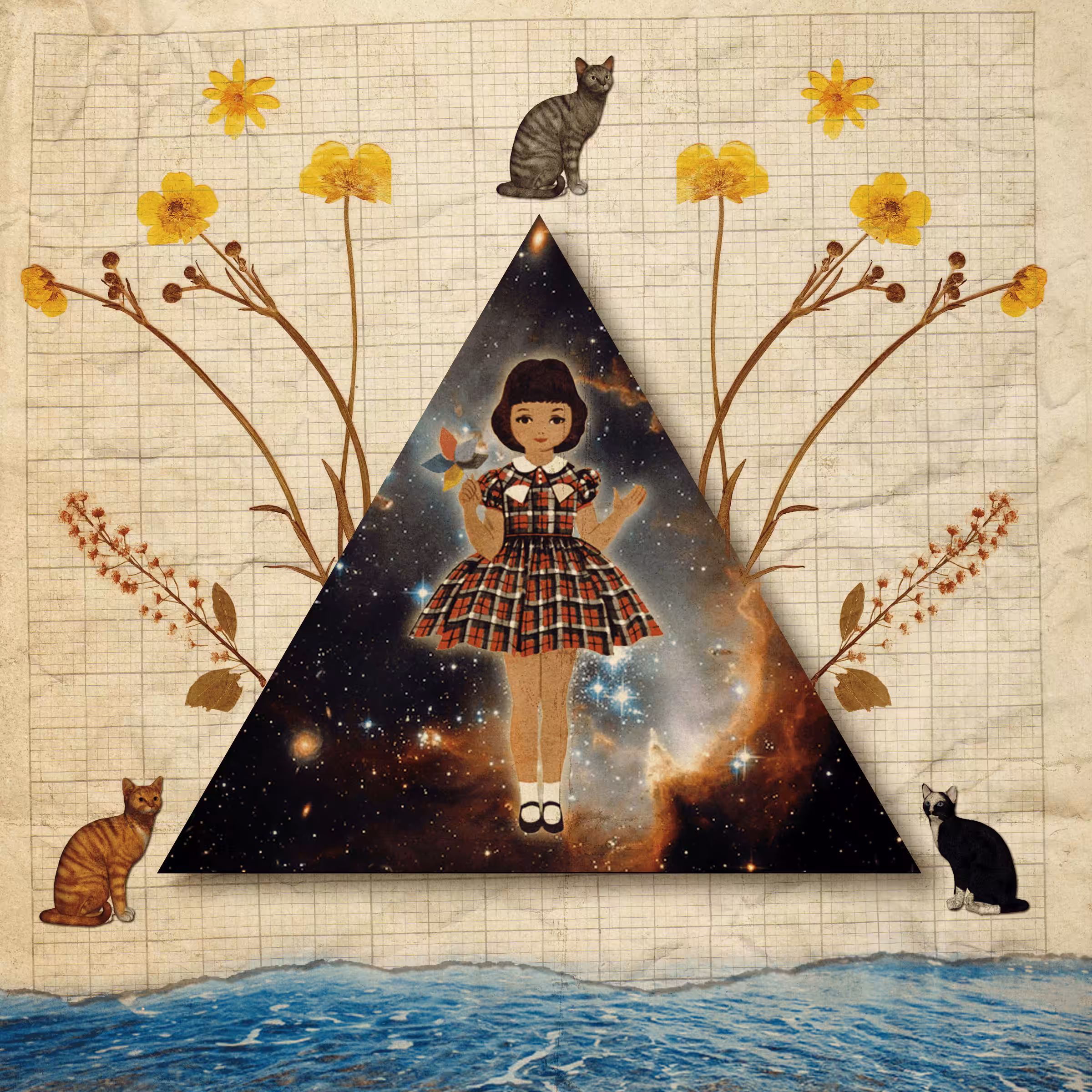 The Cat Triangle