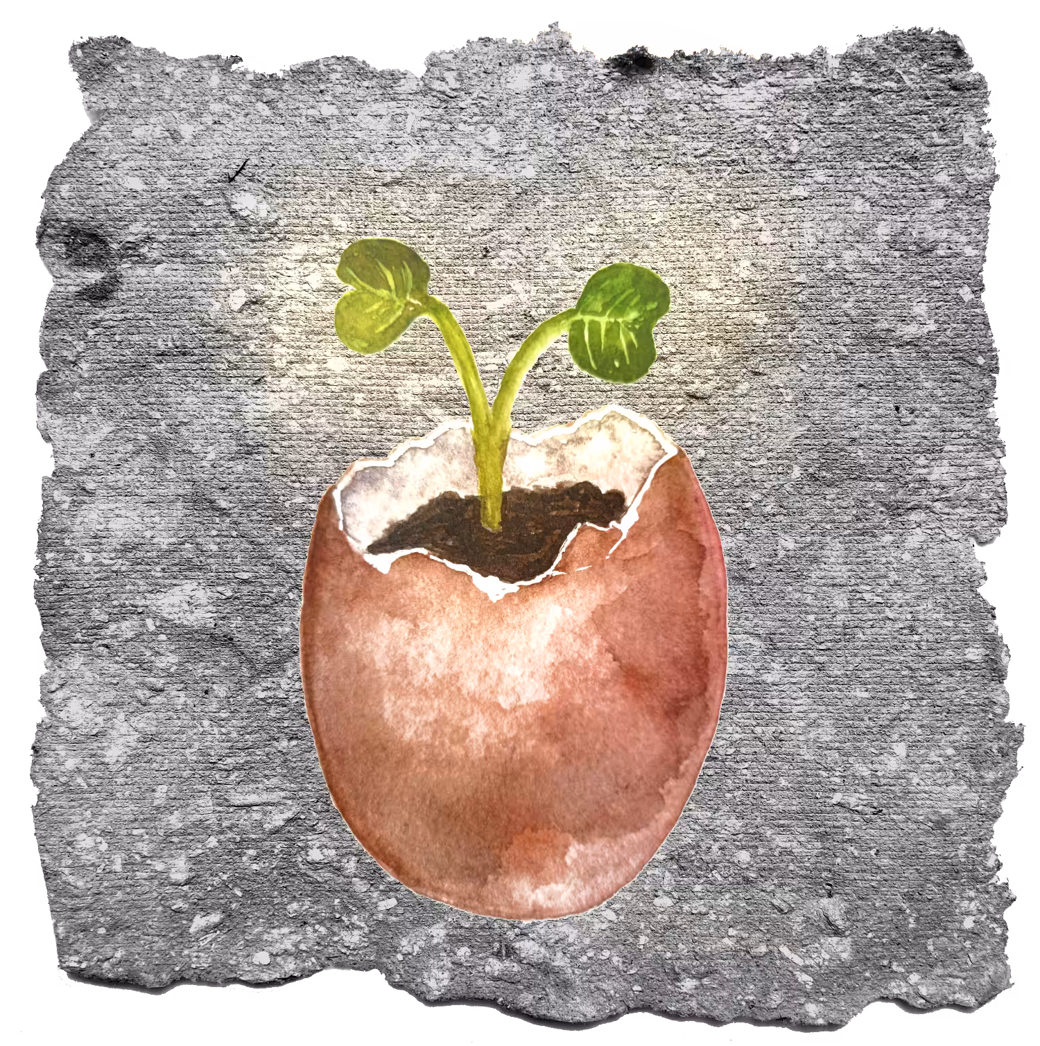 THE SEED #1
