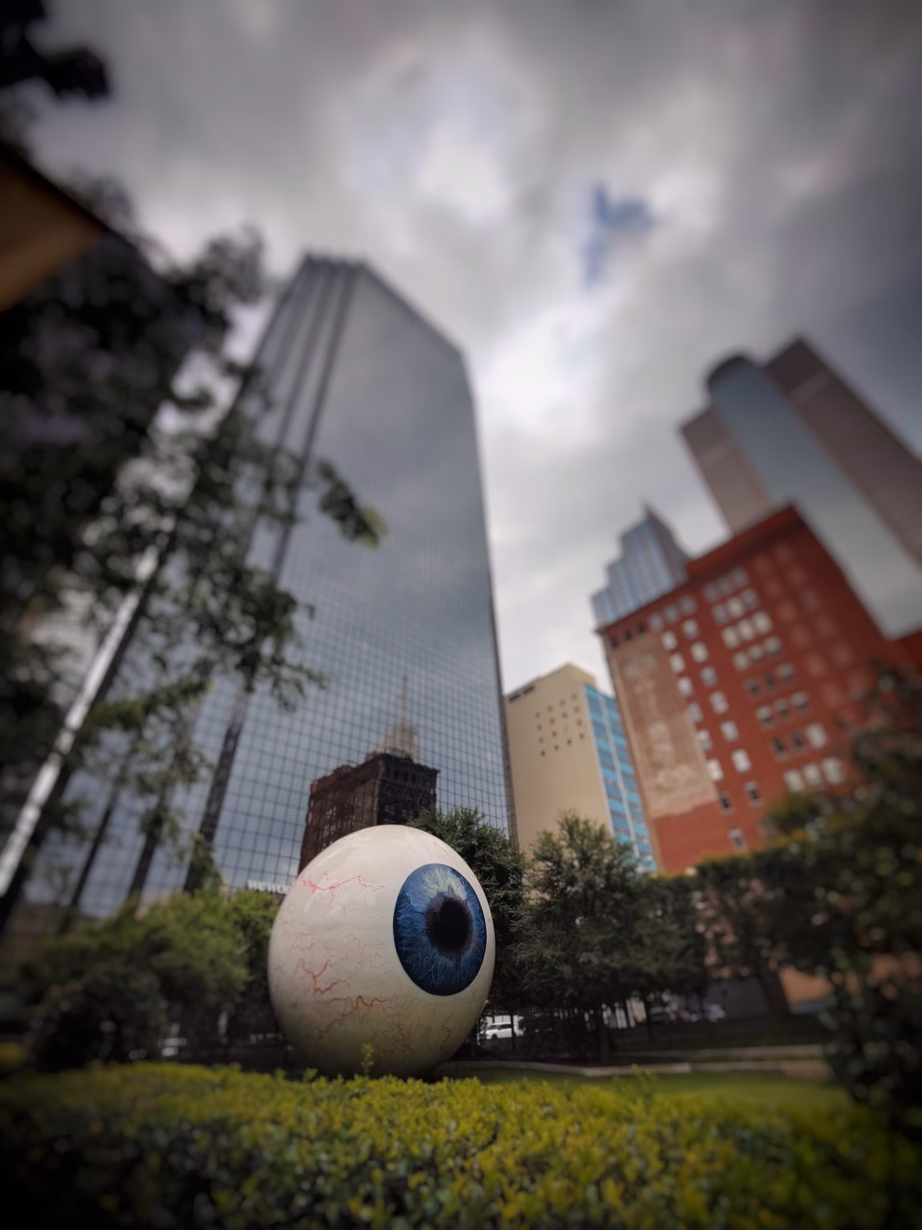 Eye on Dallas