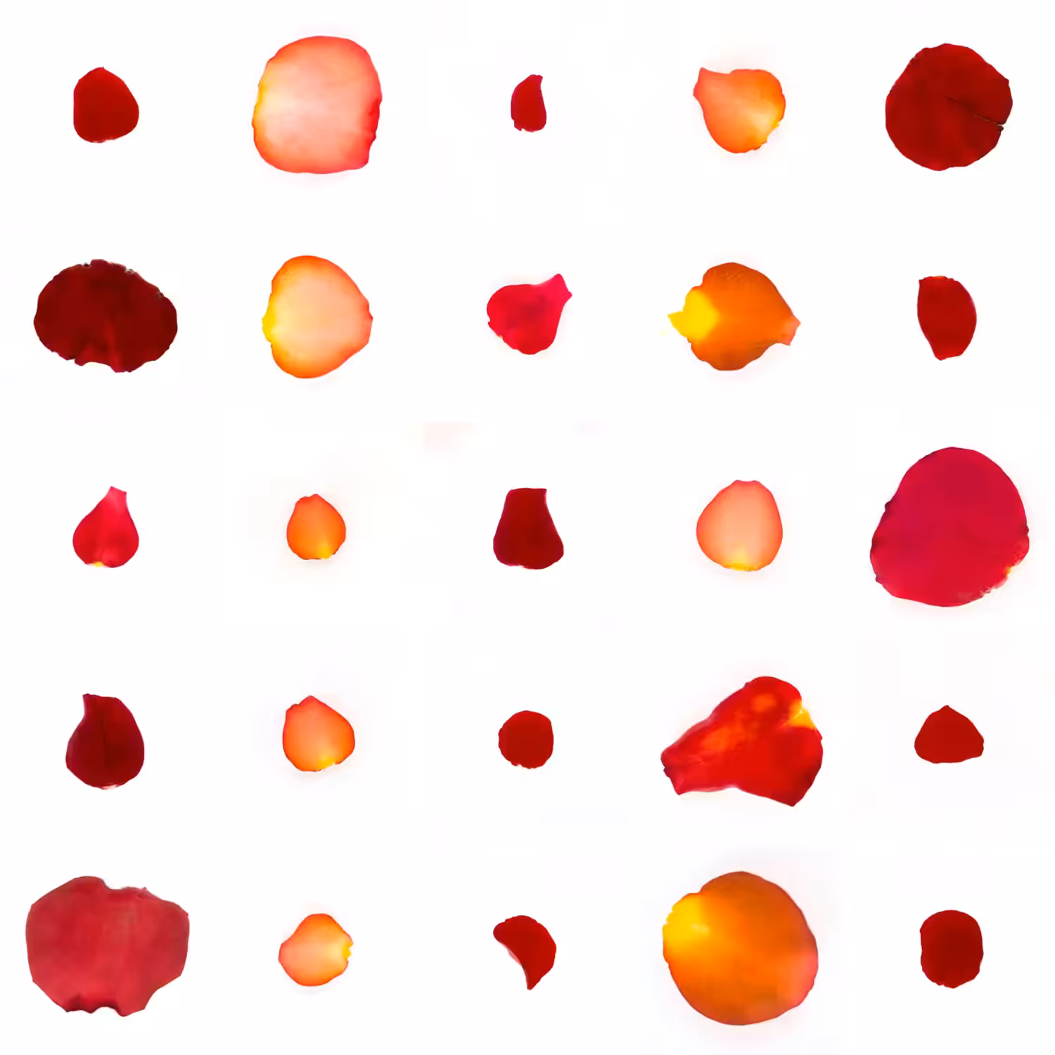 Infinite Petals 5x5#20387