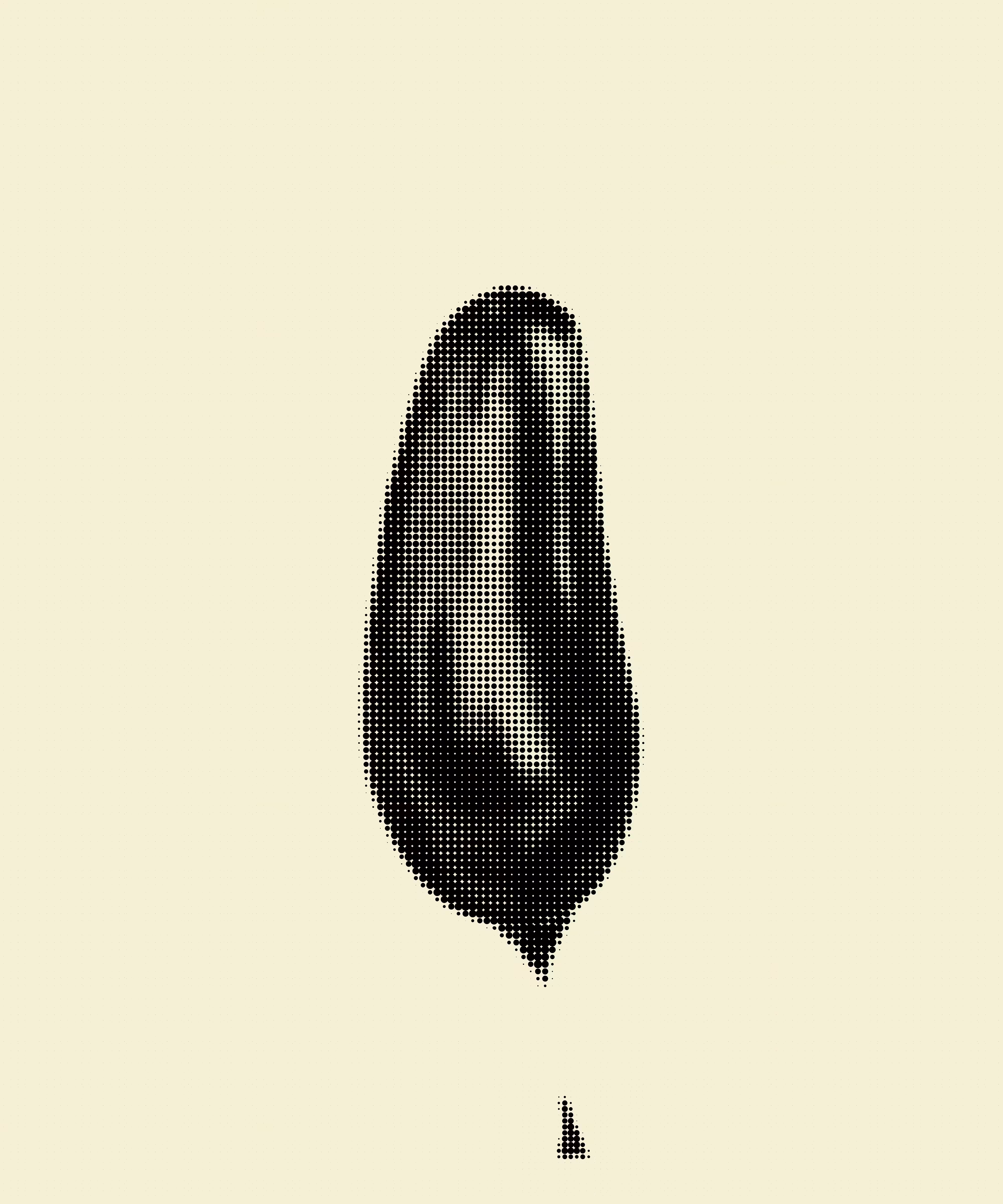 aubergine 