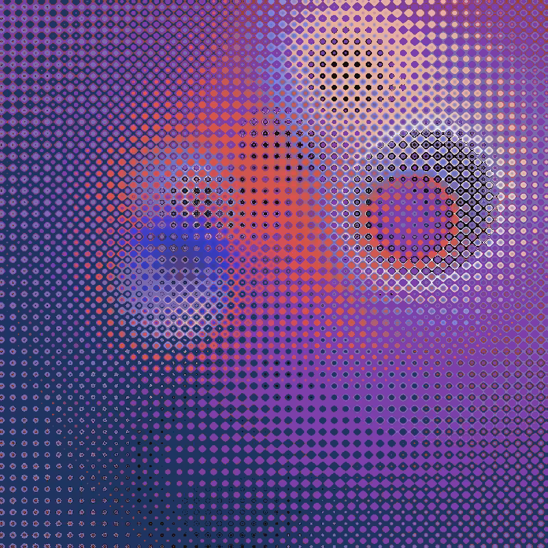 Focus #11