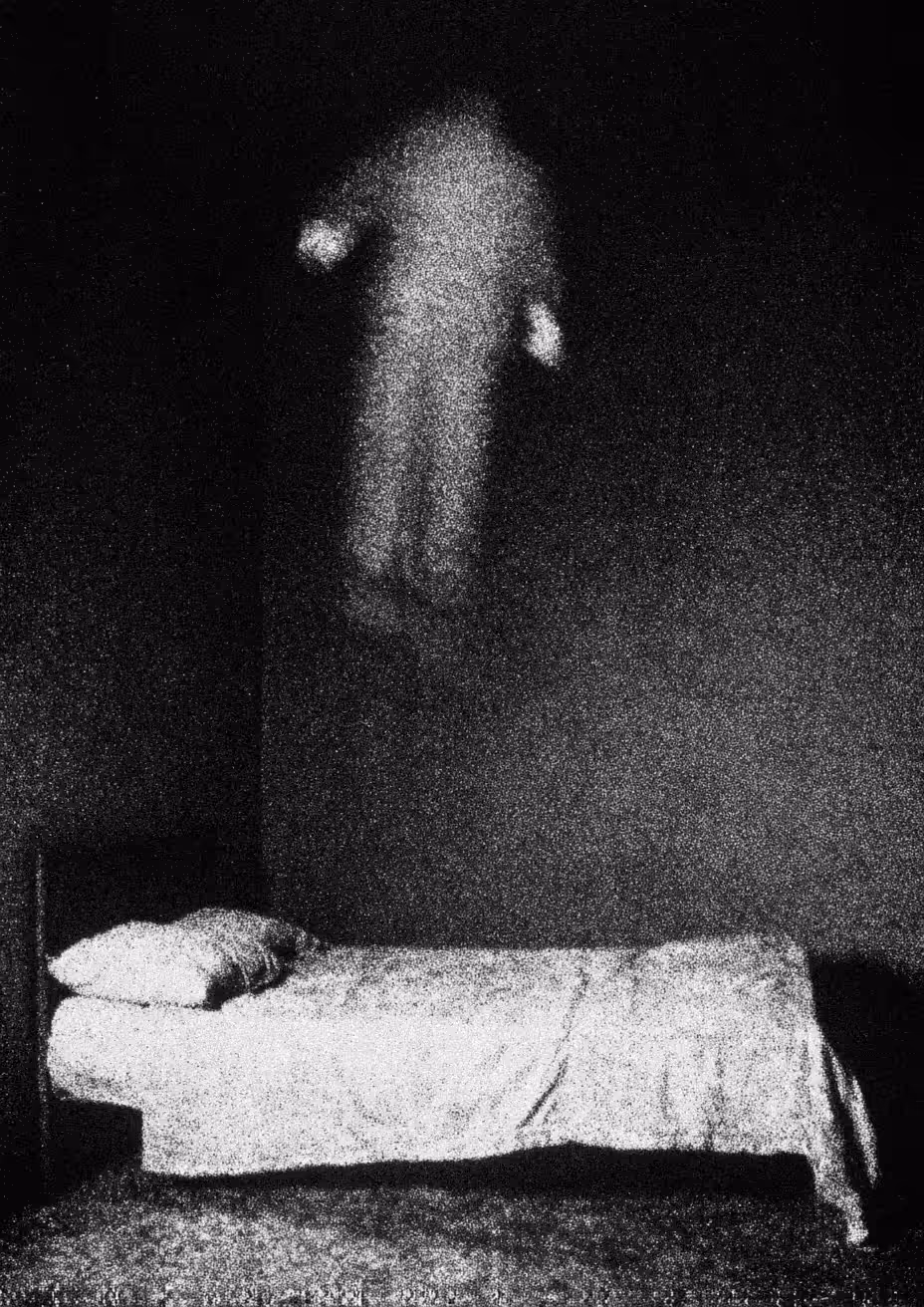 dream of the insomniac #12