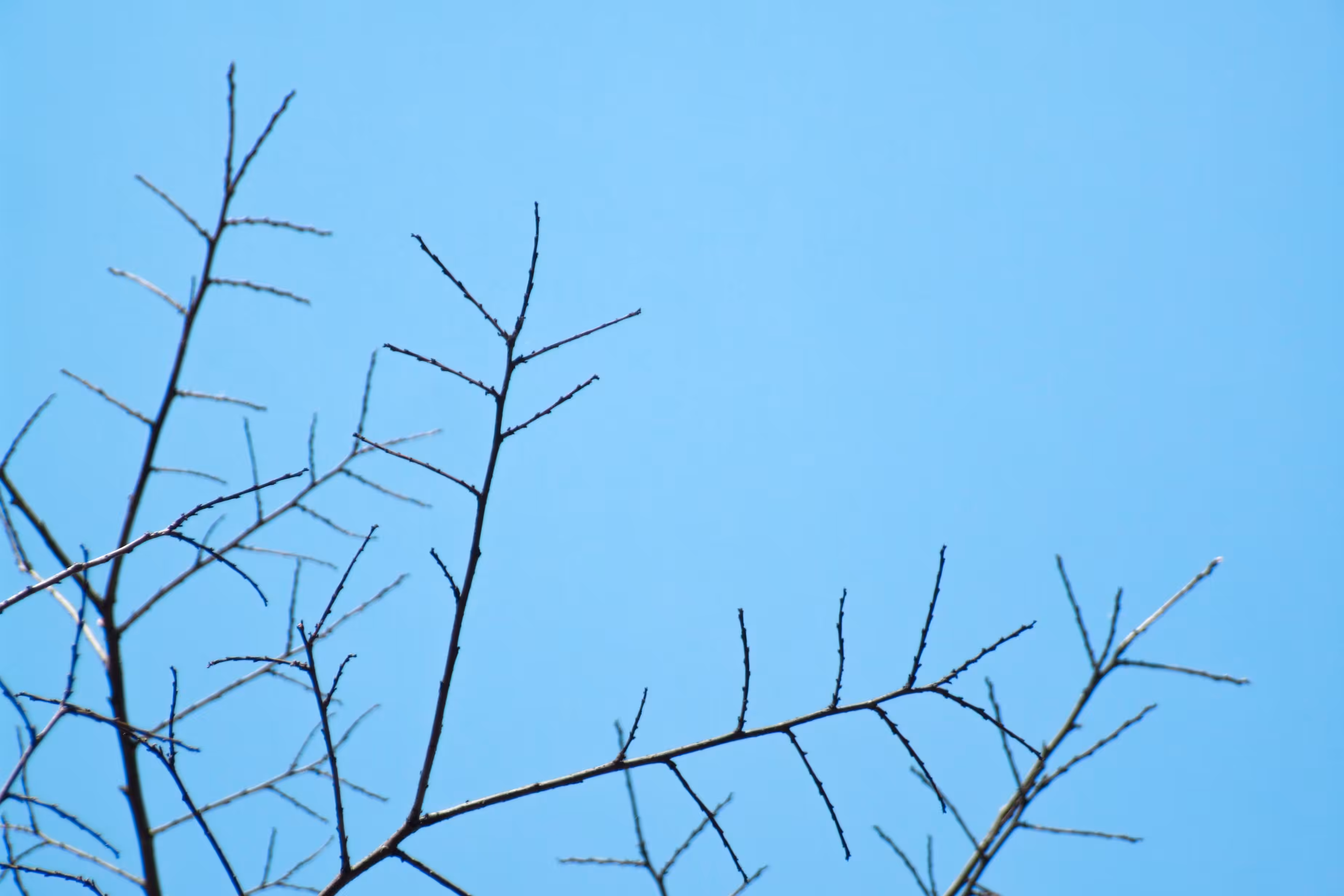 Following the infinite blue