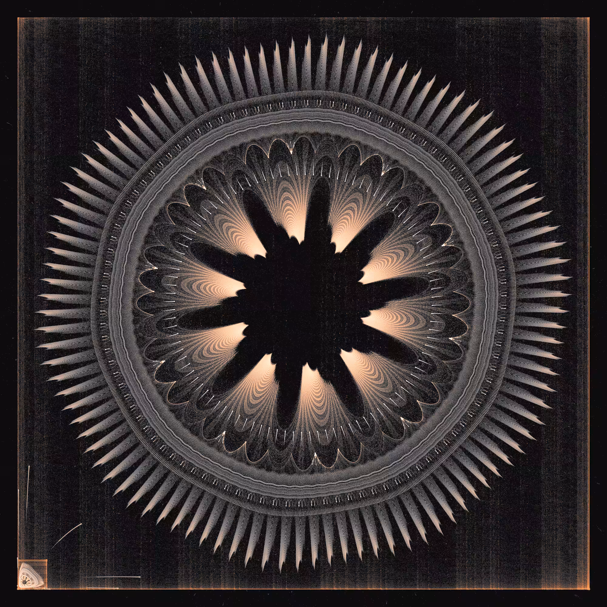 Shield