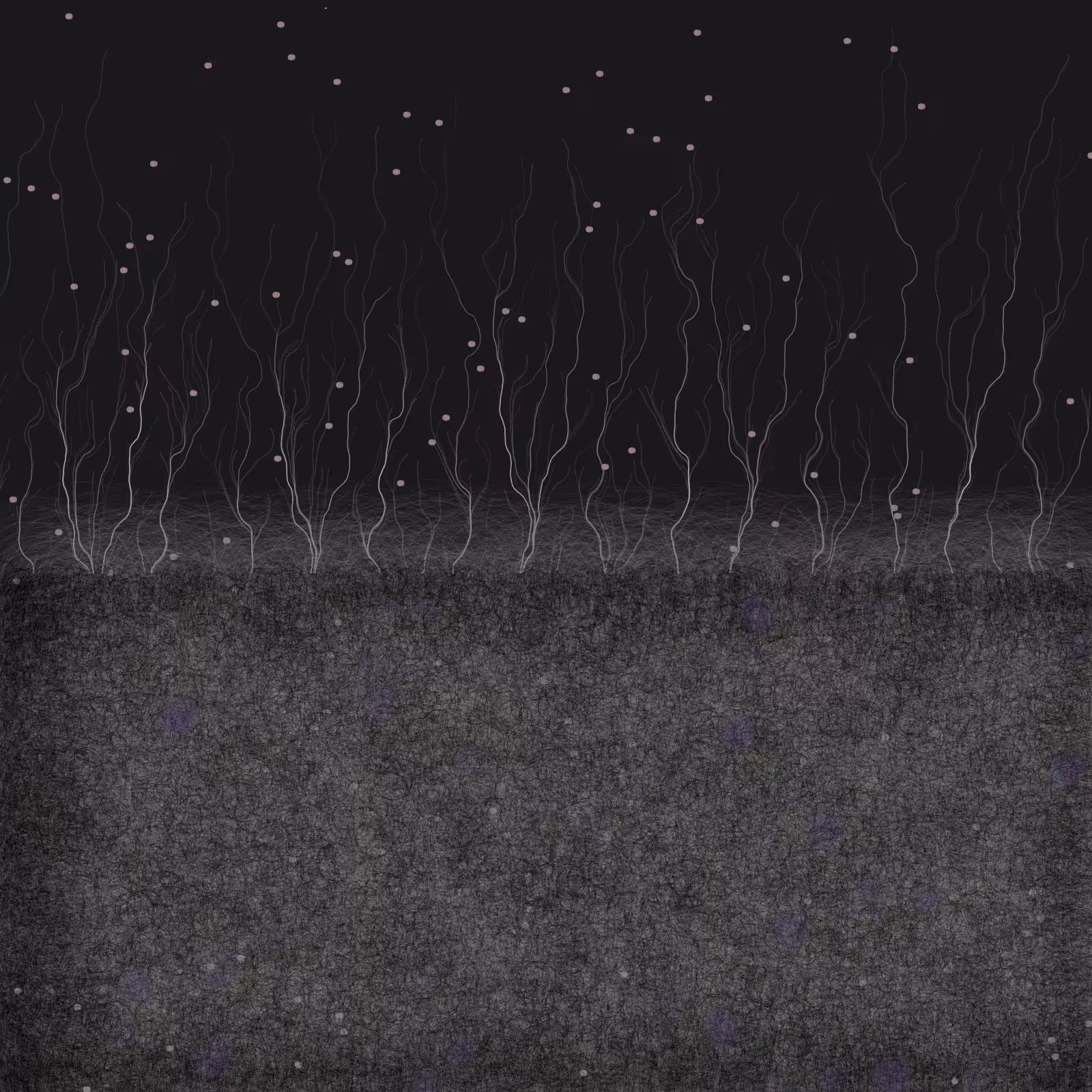 branches #27