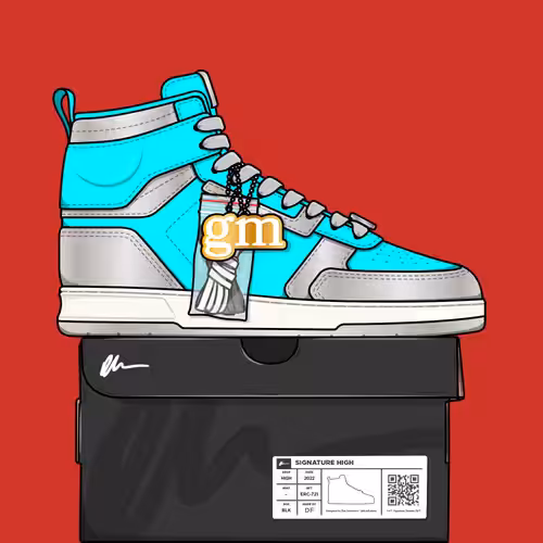 Signature Sneakers Highs #124