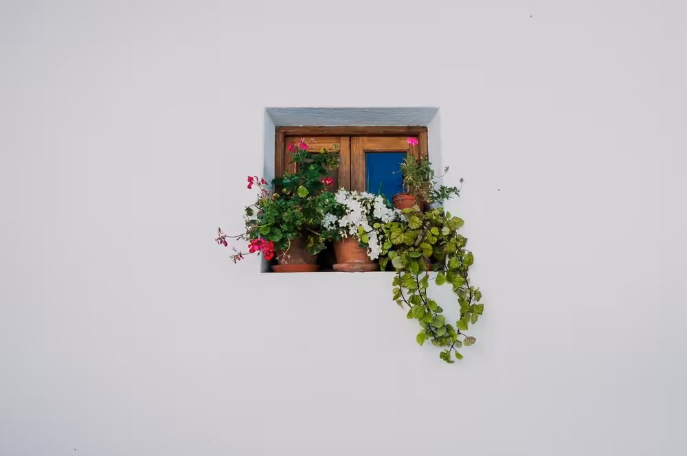 Rustic #1