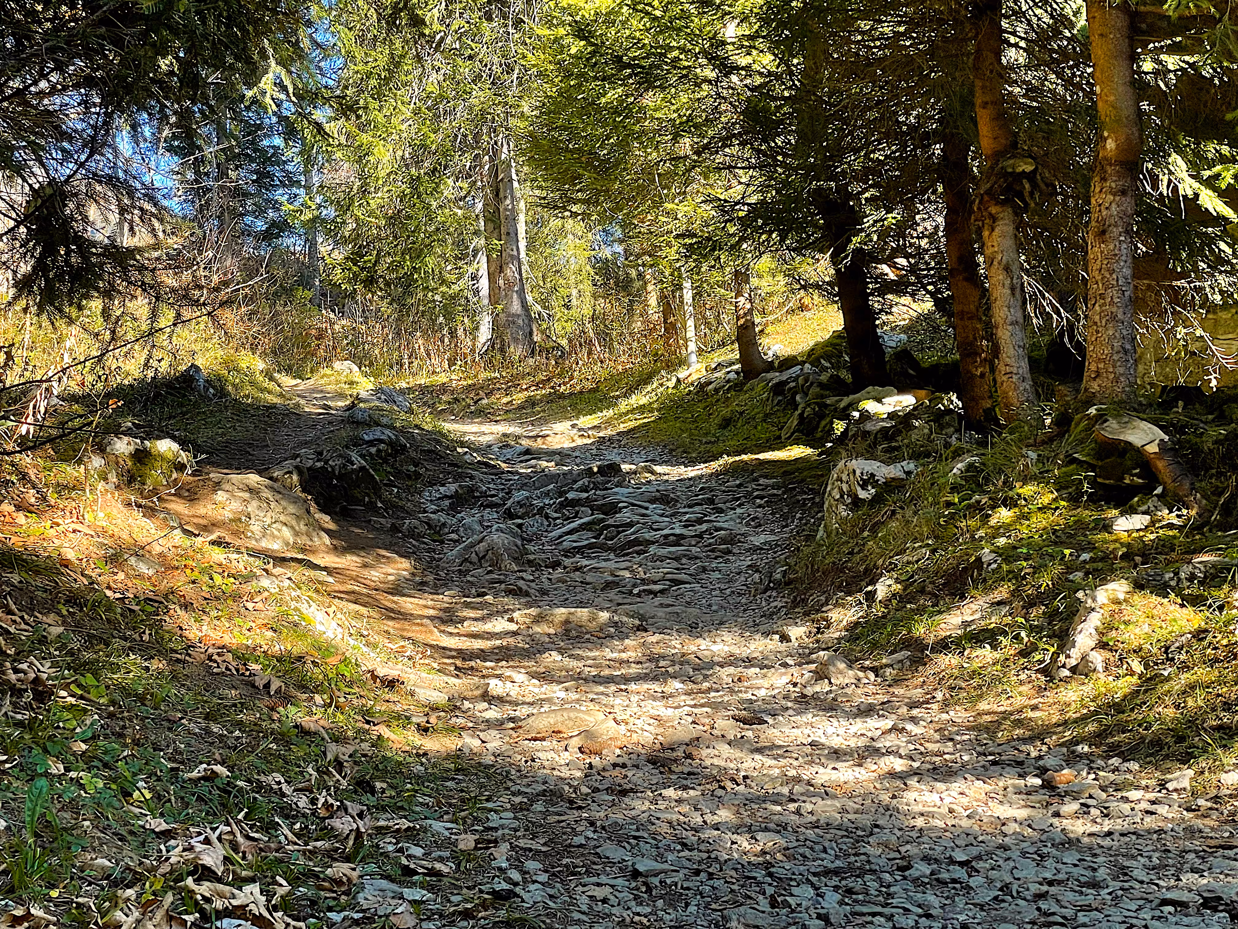Just a hiking trail?