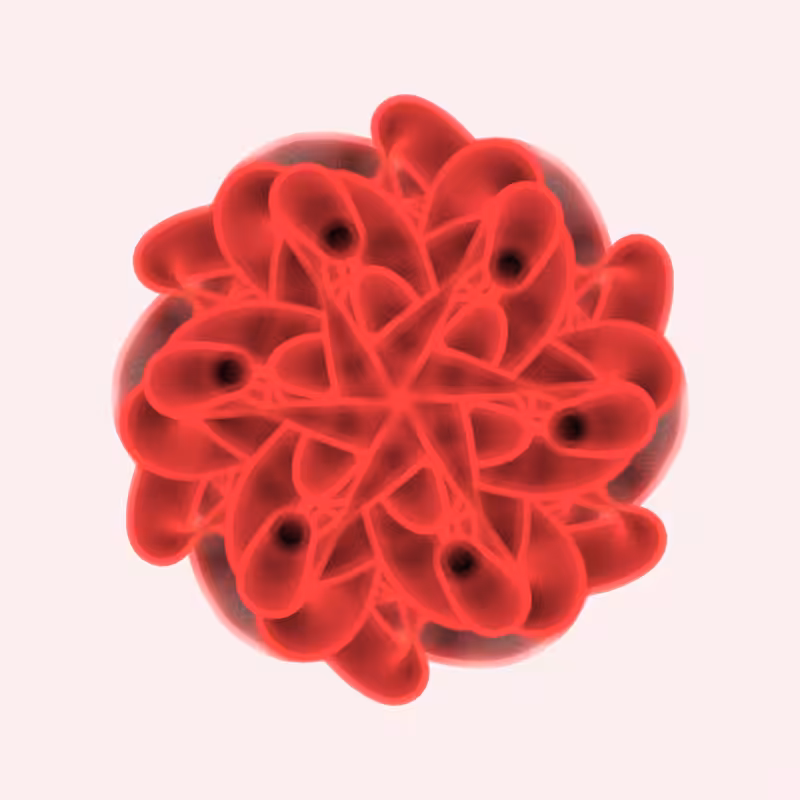 Math Flower #25