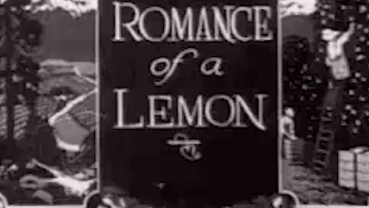 Song A Day: Lemons