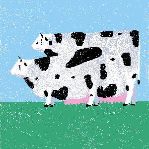 cow #134