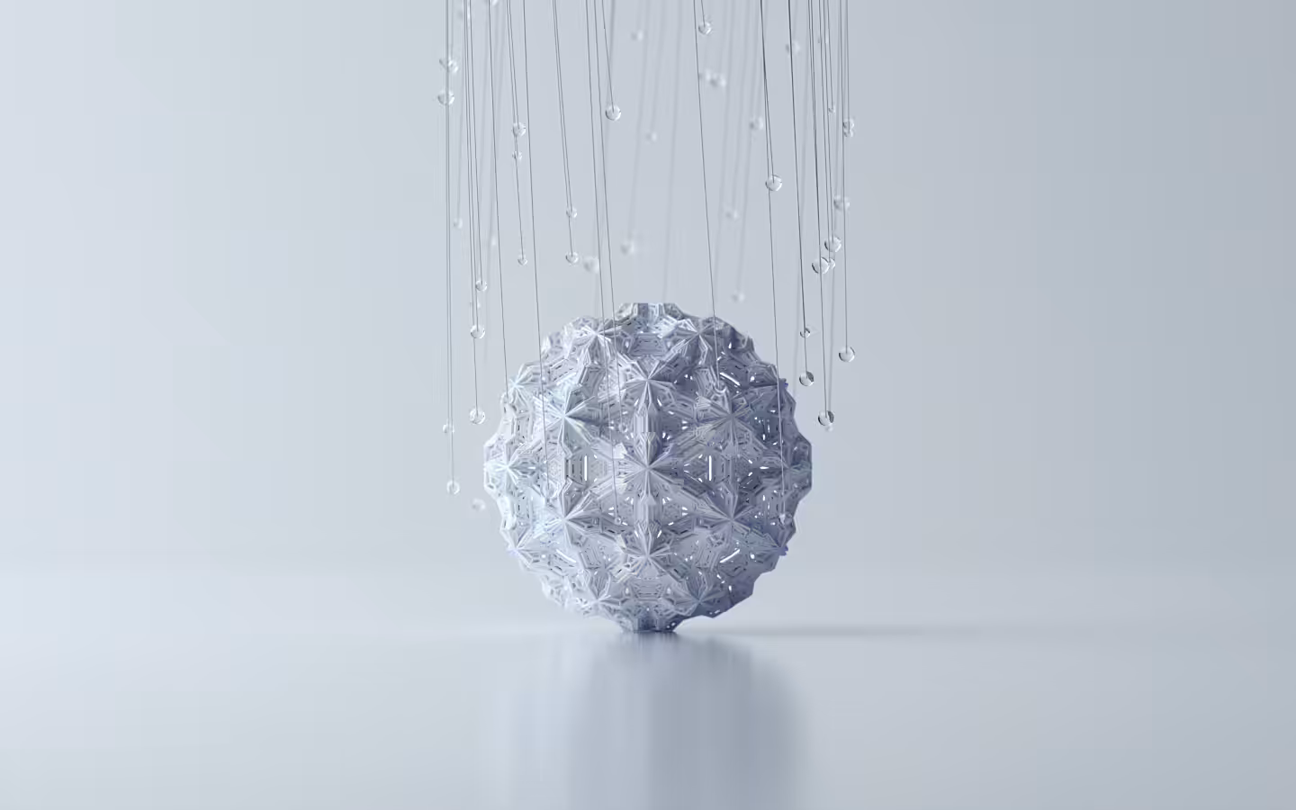 ◌
