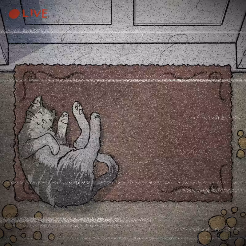NOT A RUG #6