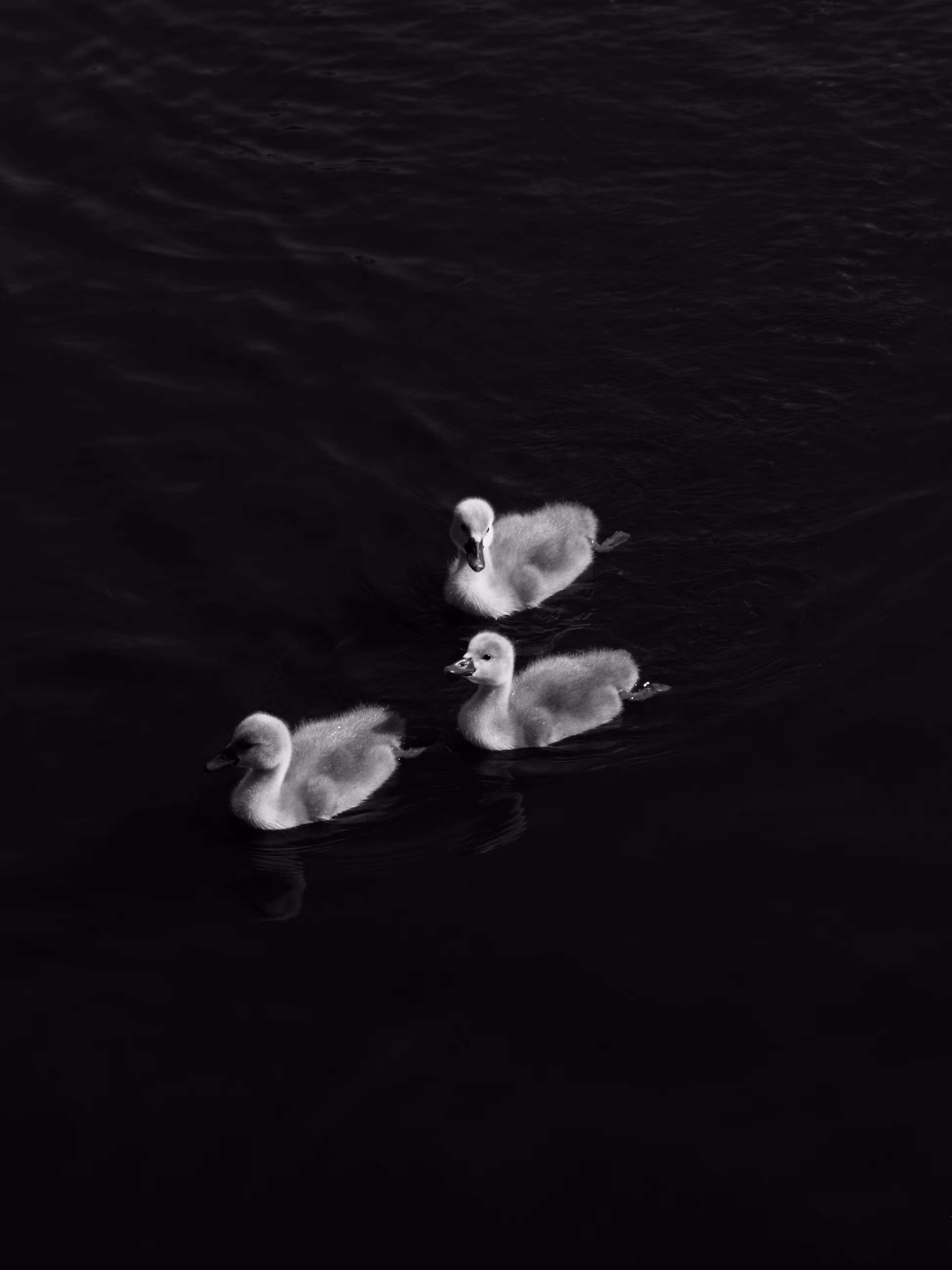 Three brothers