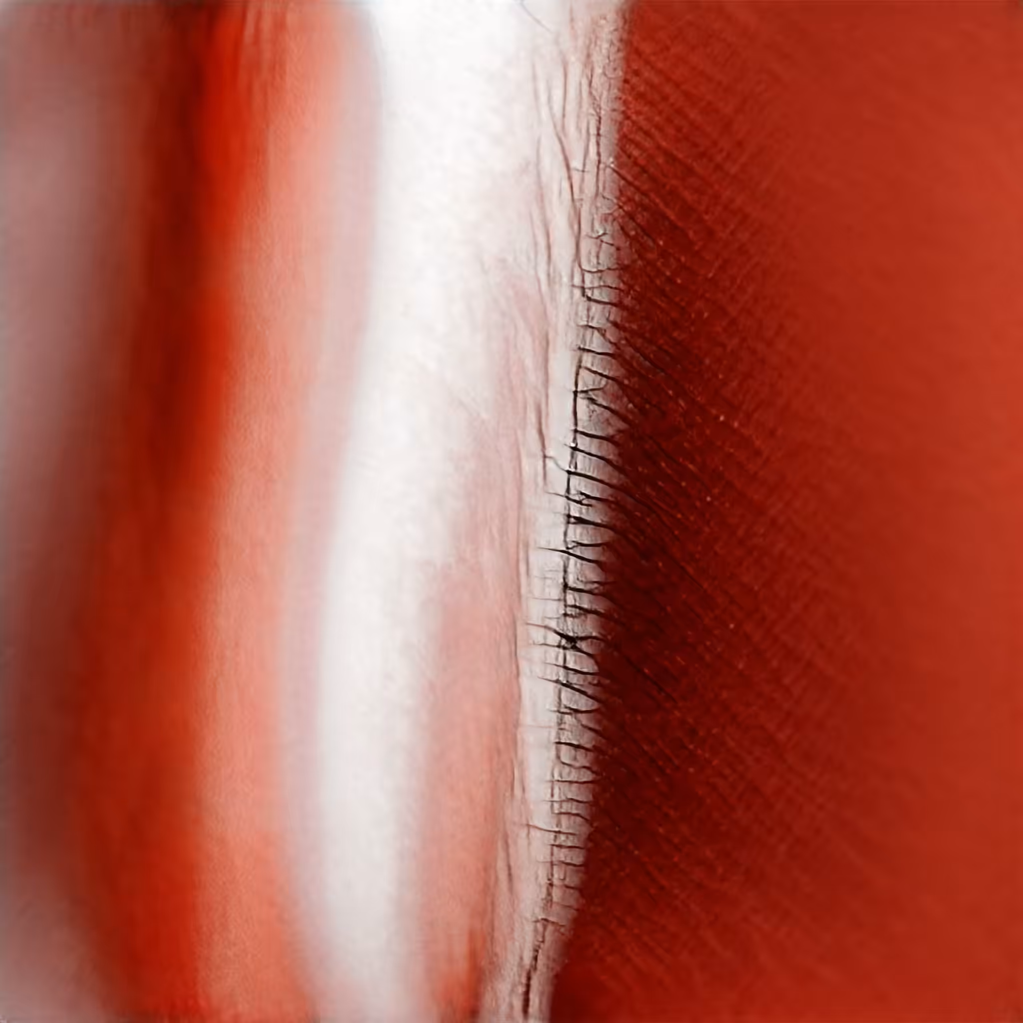 Blood