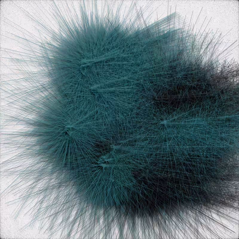 urchin #13