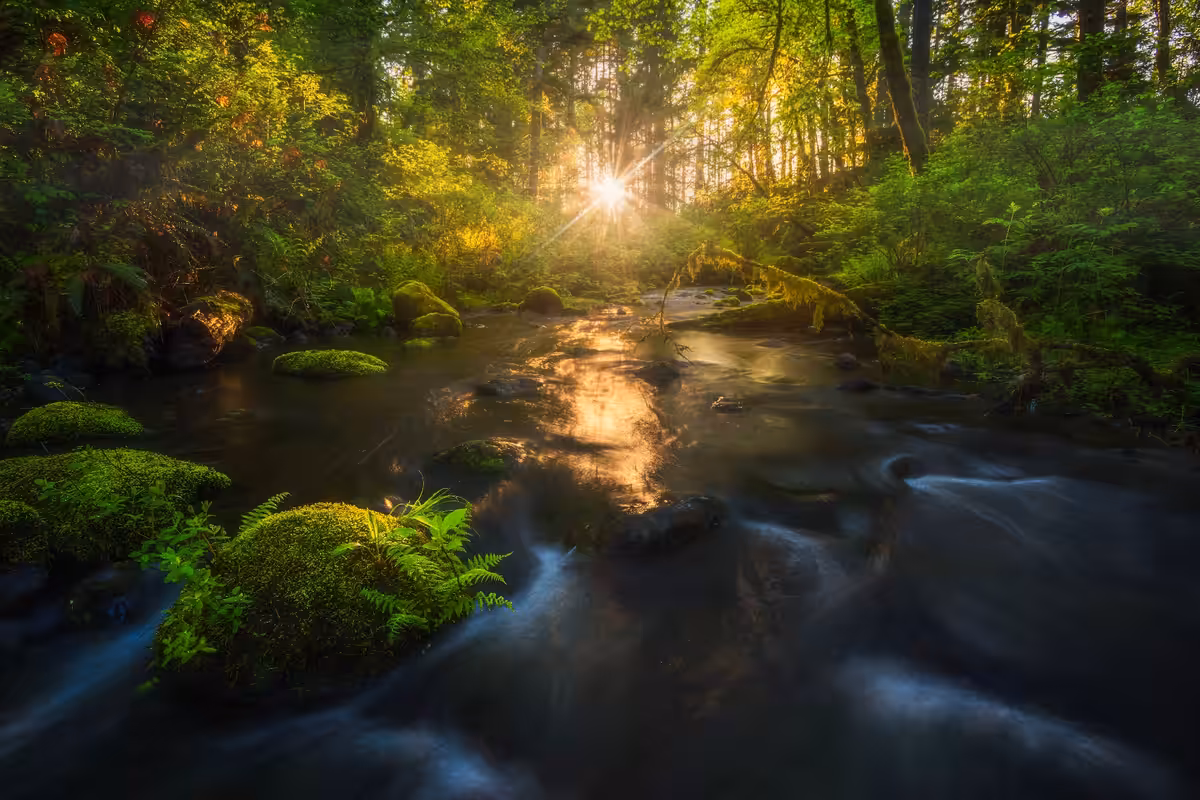 The Course of Nature