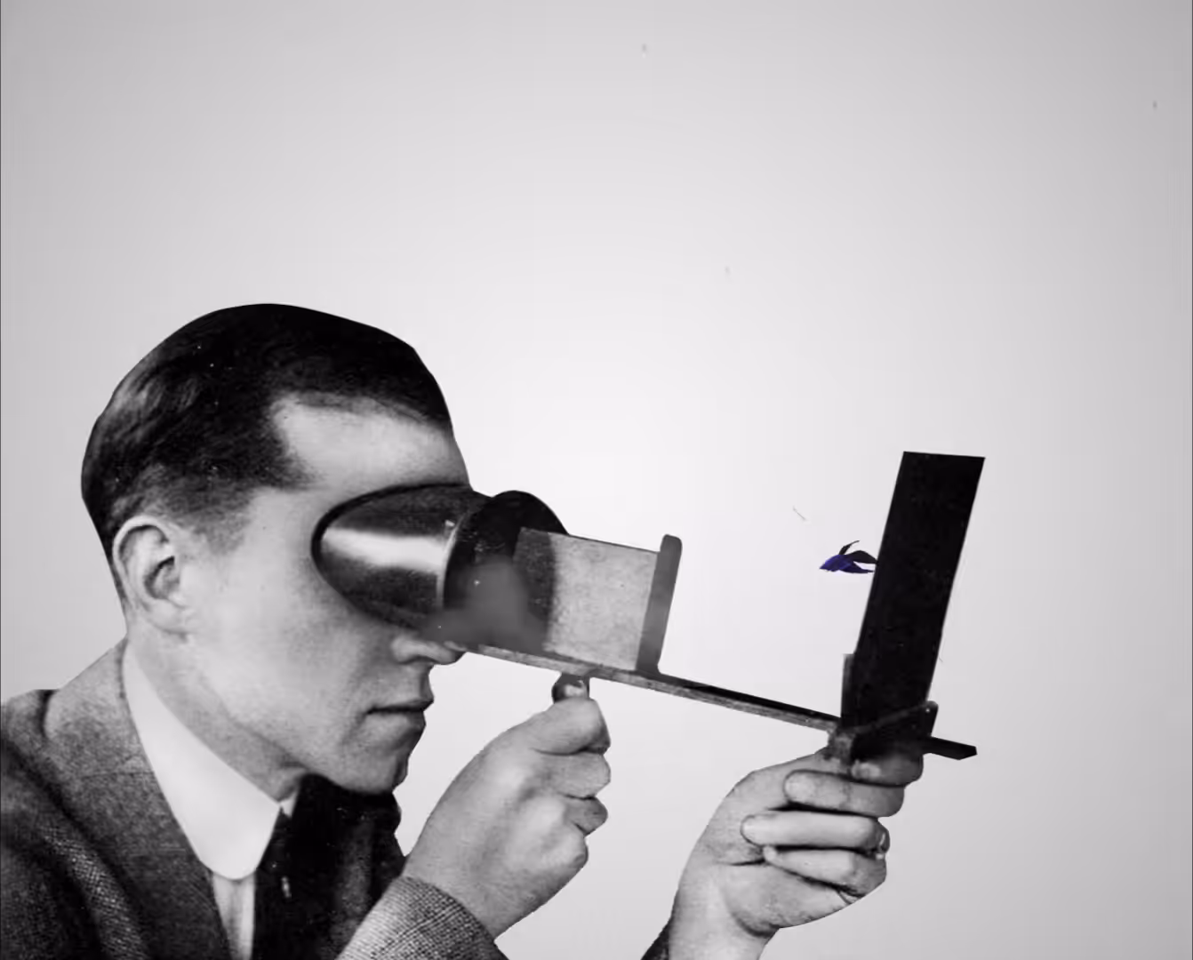 Virtual reality