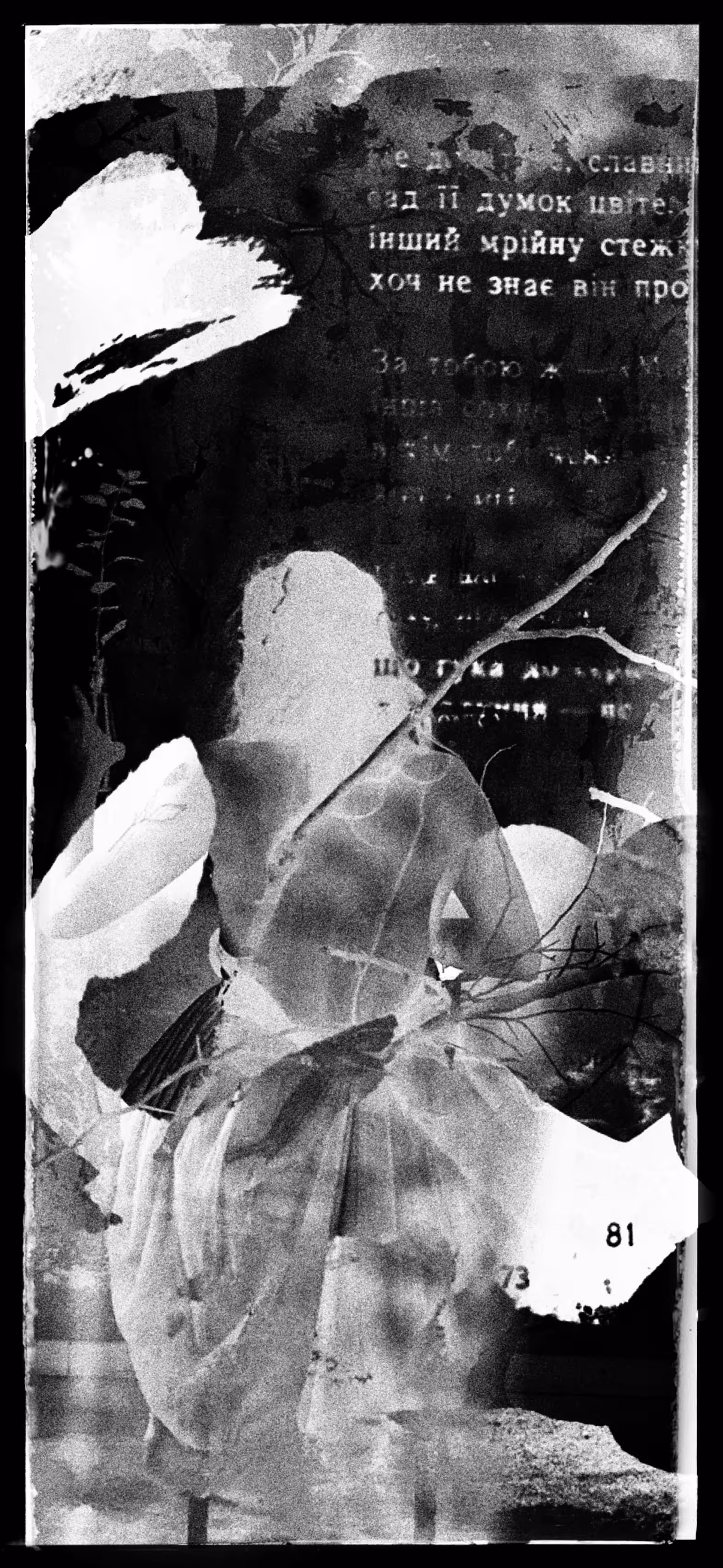 autoportraits: Heart of the Mountain, Sea of Her