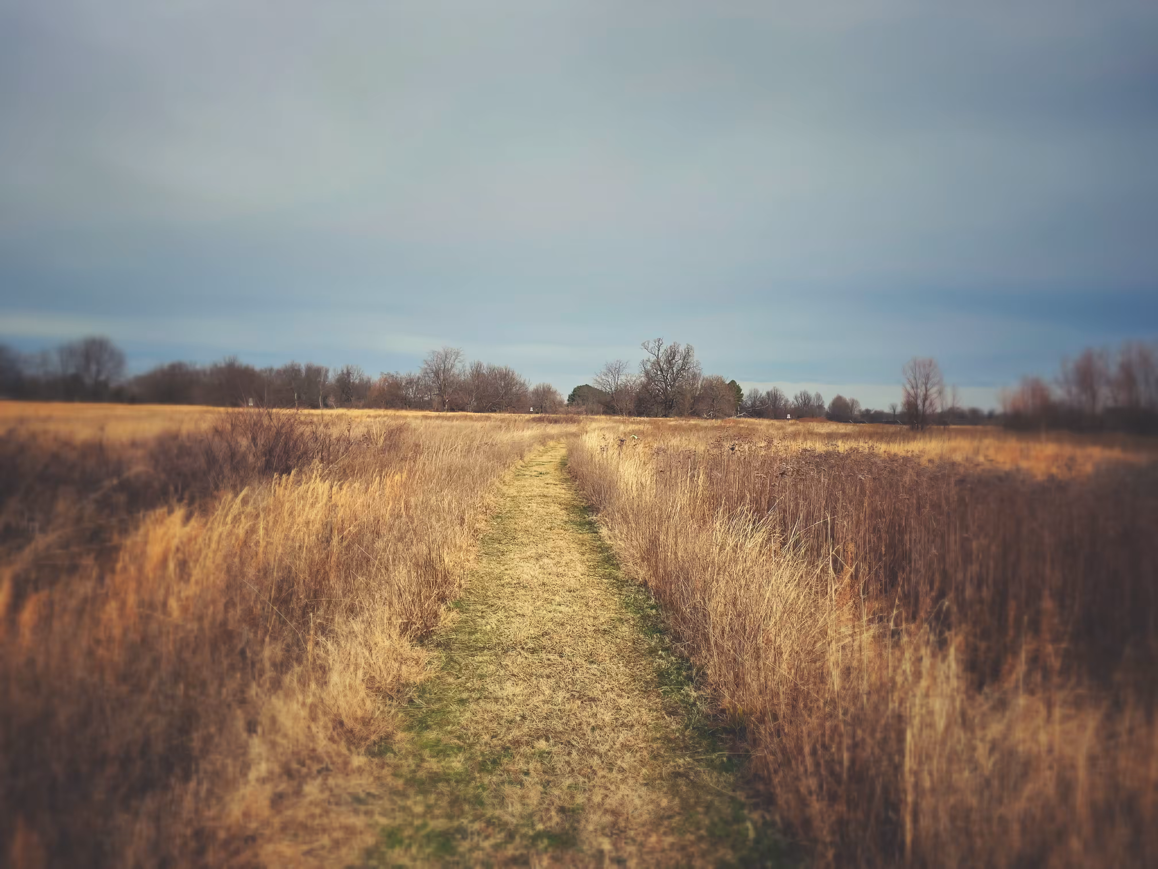 Open Path