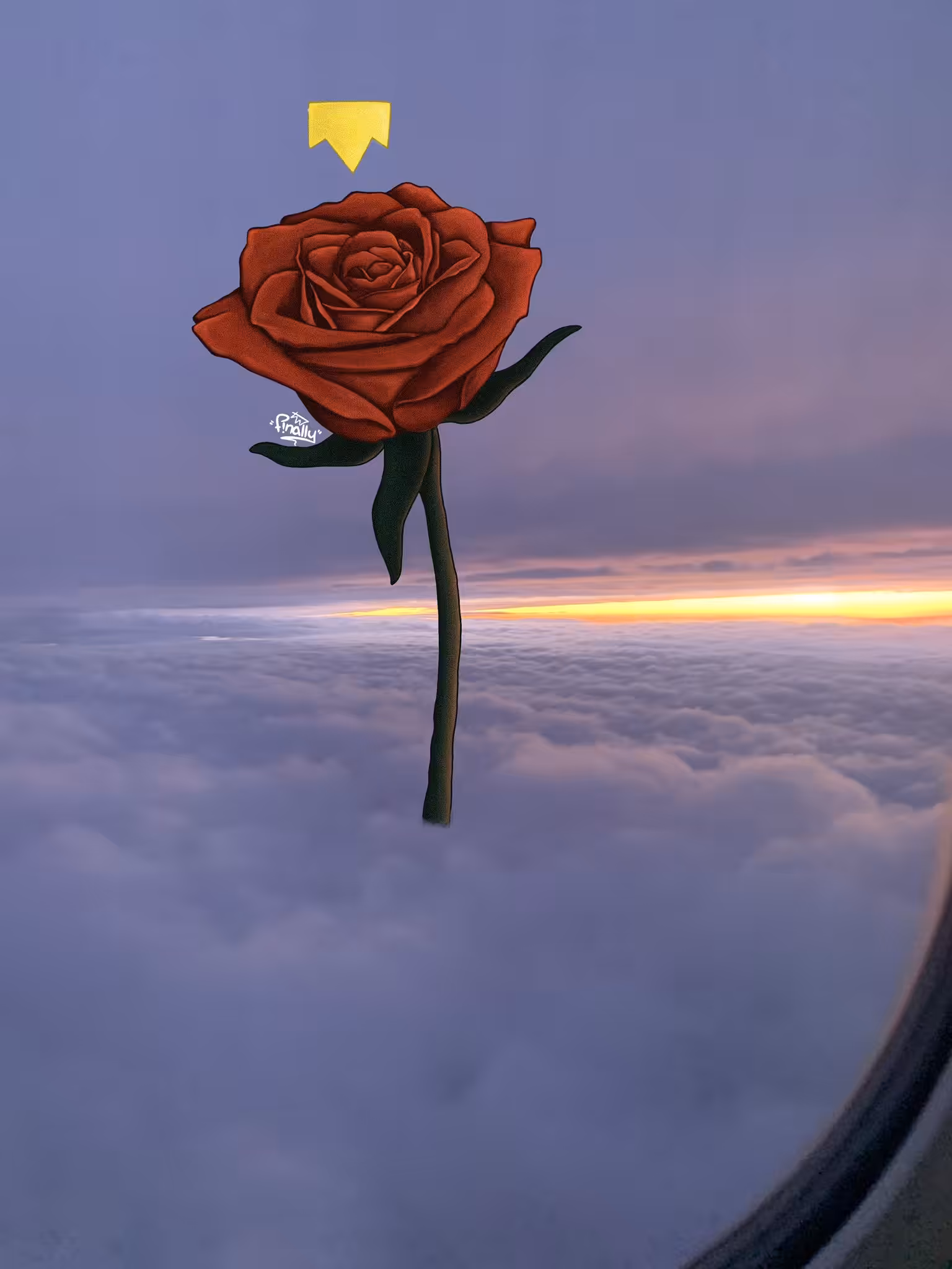 SkyRose